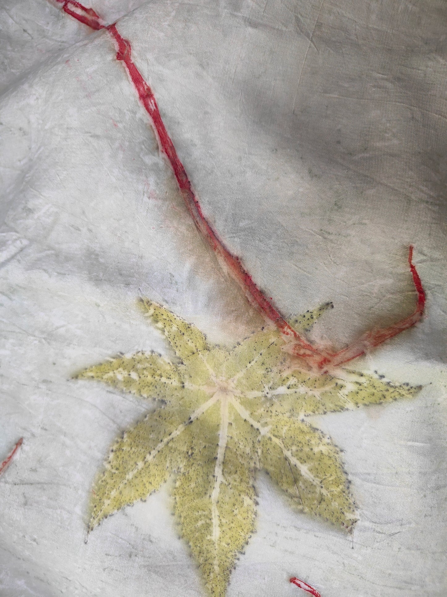 Castor Echeos Handspun Pure Silk Fabric