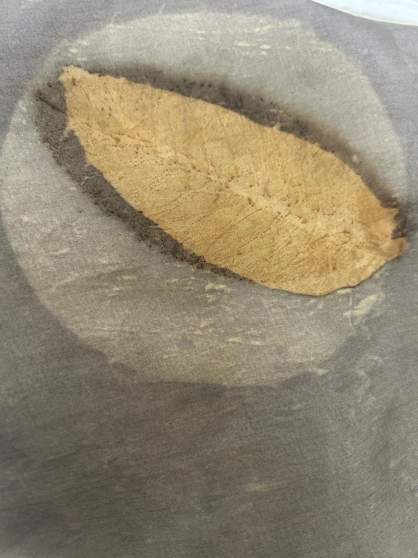 Smoke Mist Pure Silk Fabric