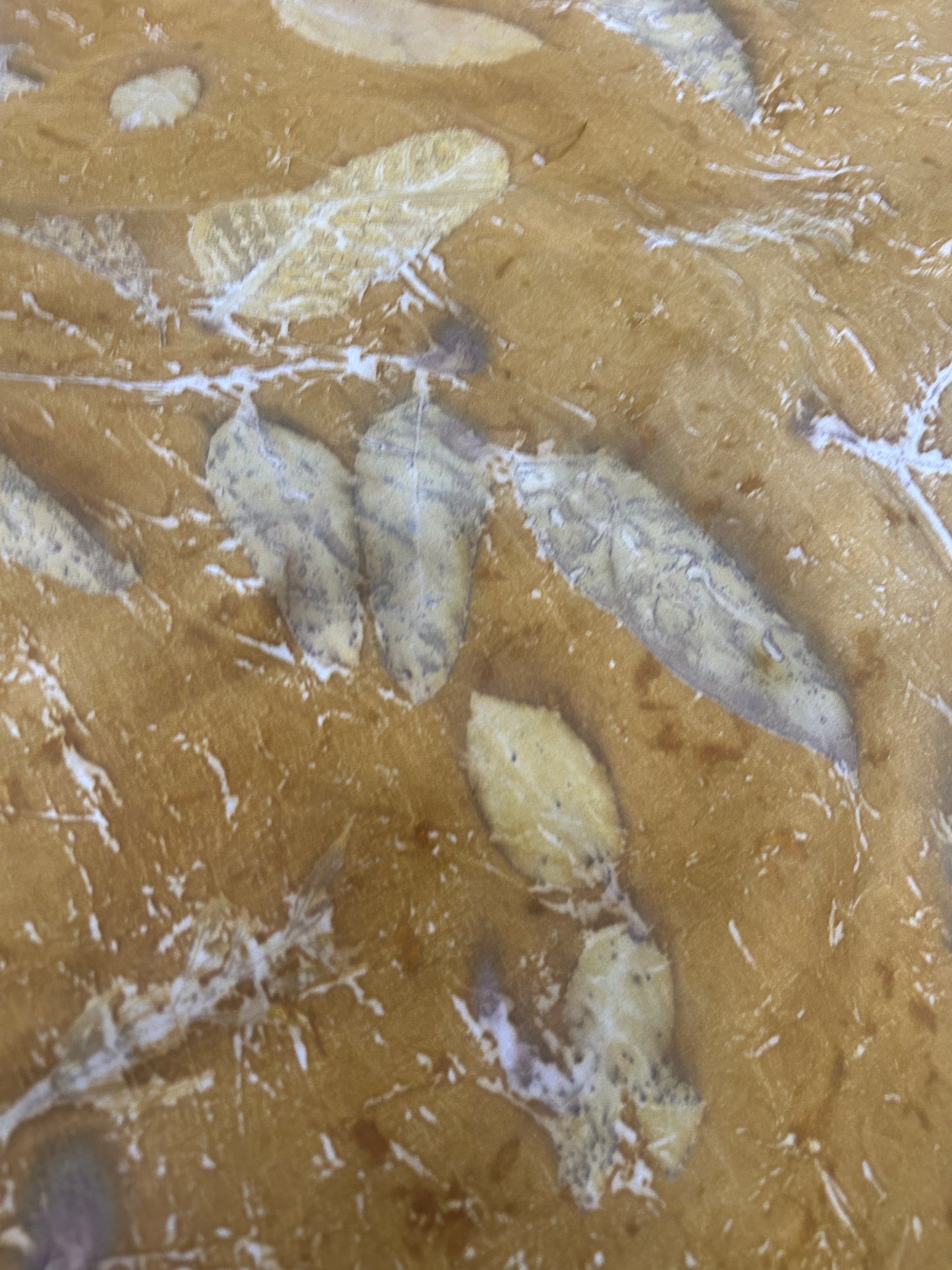 Golden Haze Pure Silk Fabric