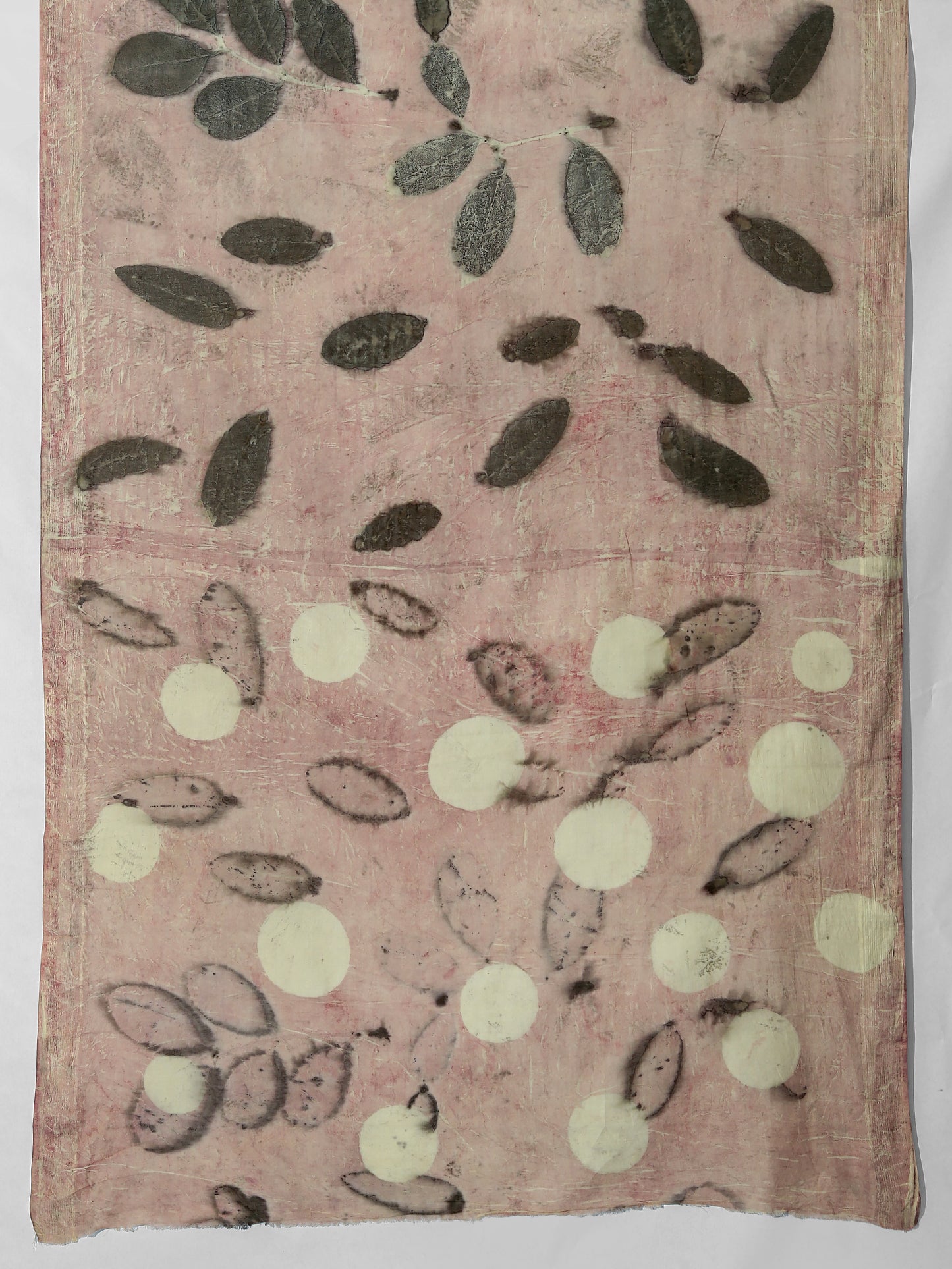Eucalyptus Mist Mulmul Cotton Saree
