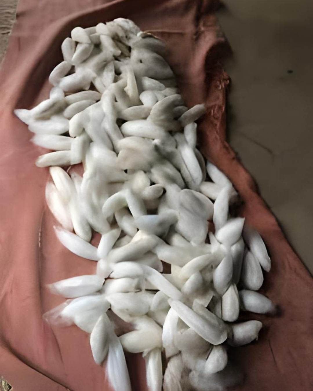 Ahimsa silk making step