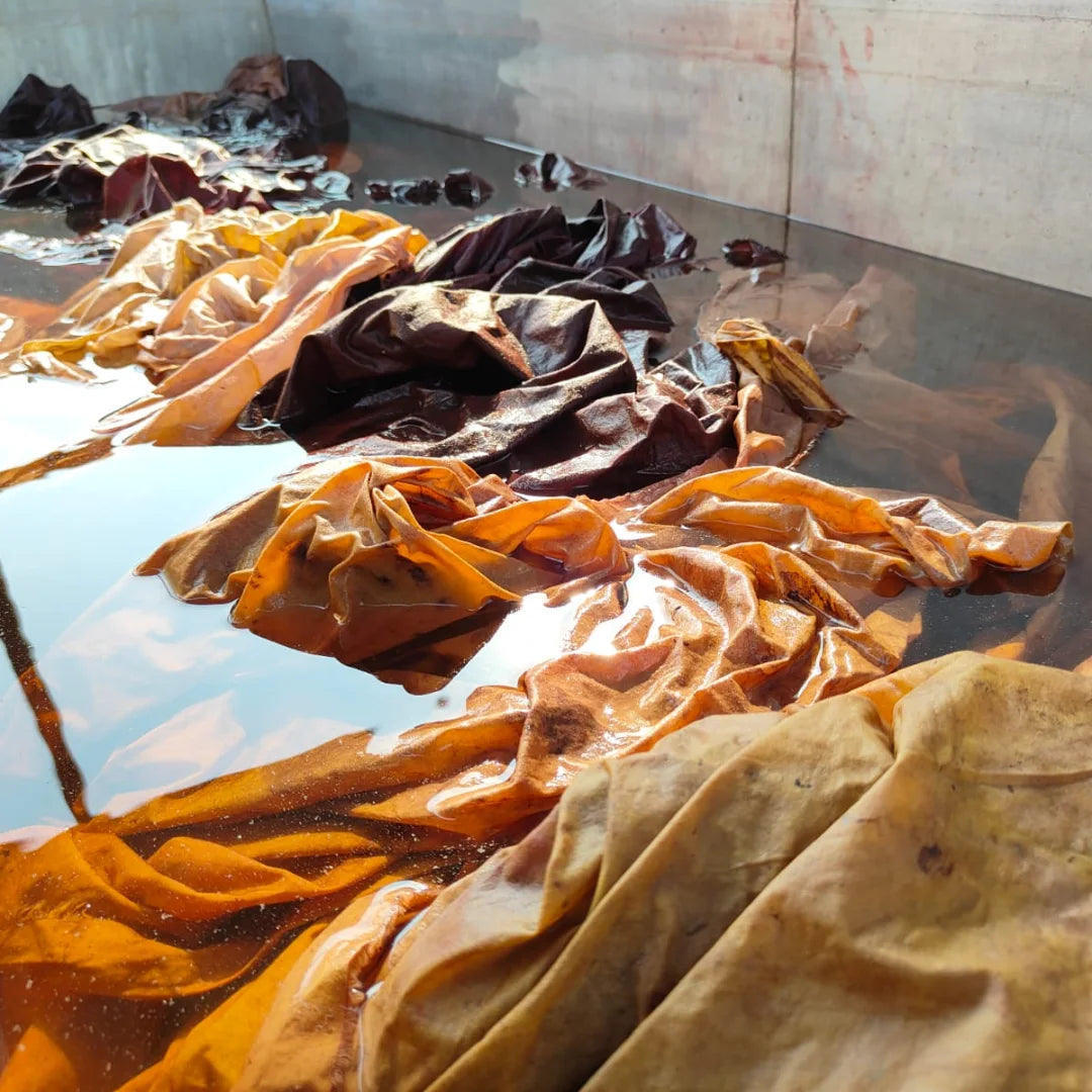 How Leaf Printing Works: The Science of Eco Printing on Fabric