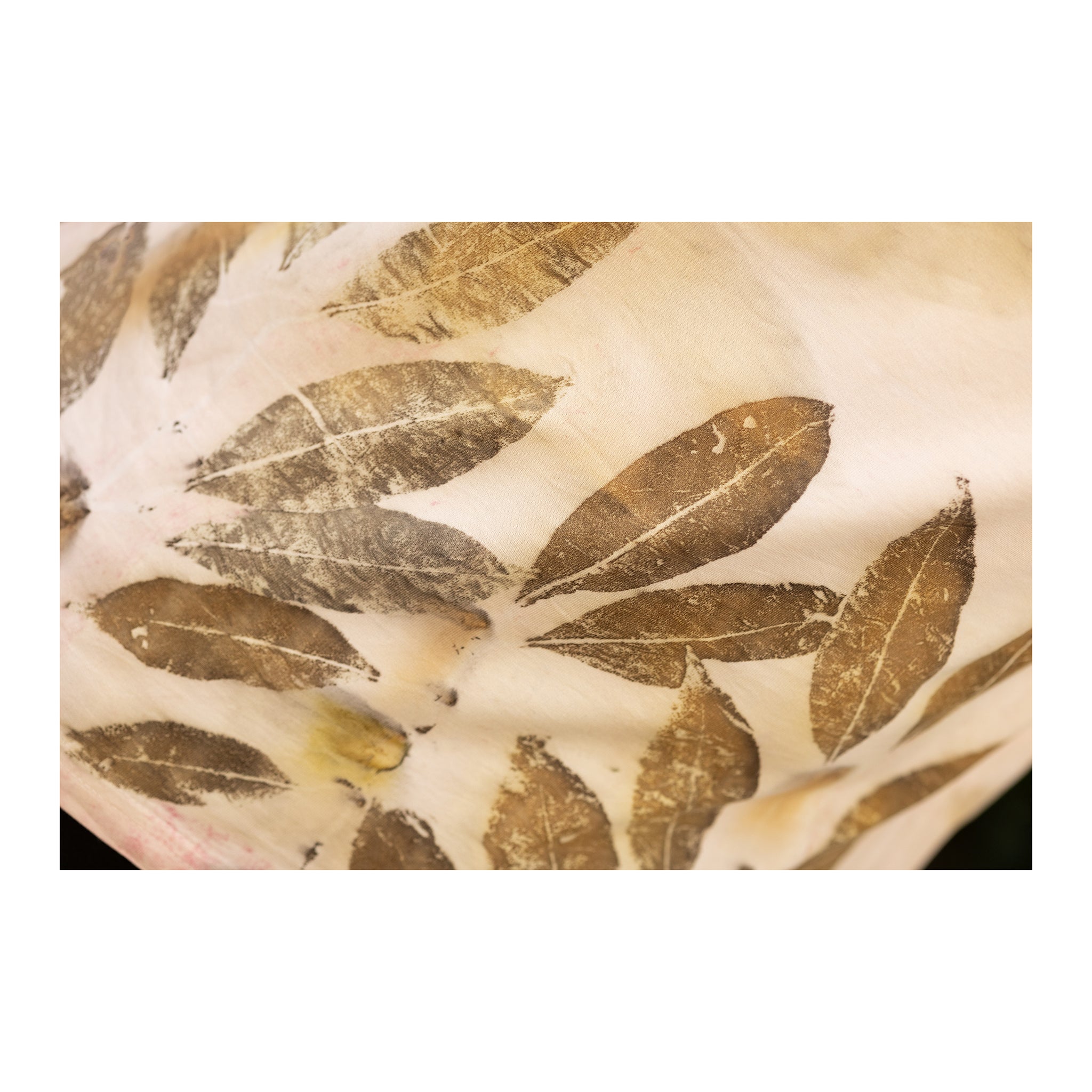 Leaf Lineage College Tee