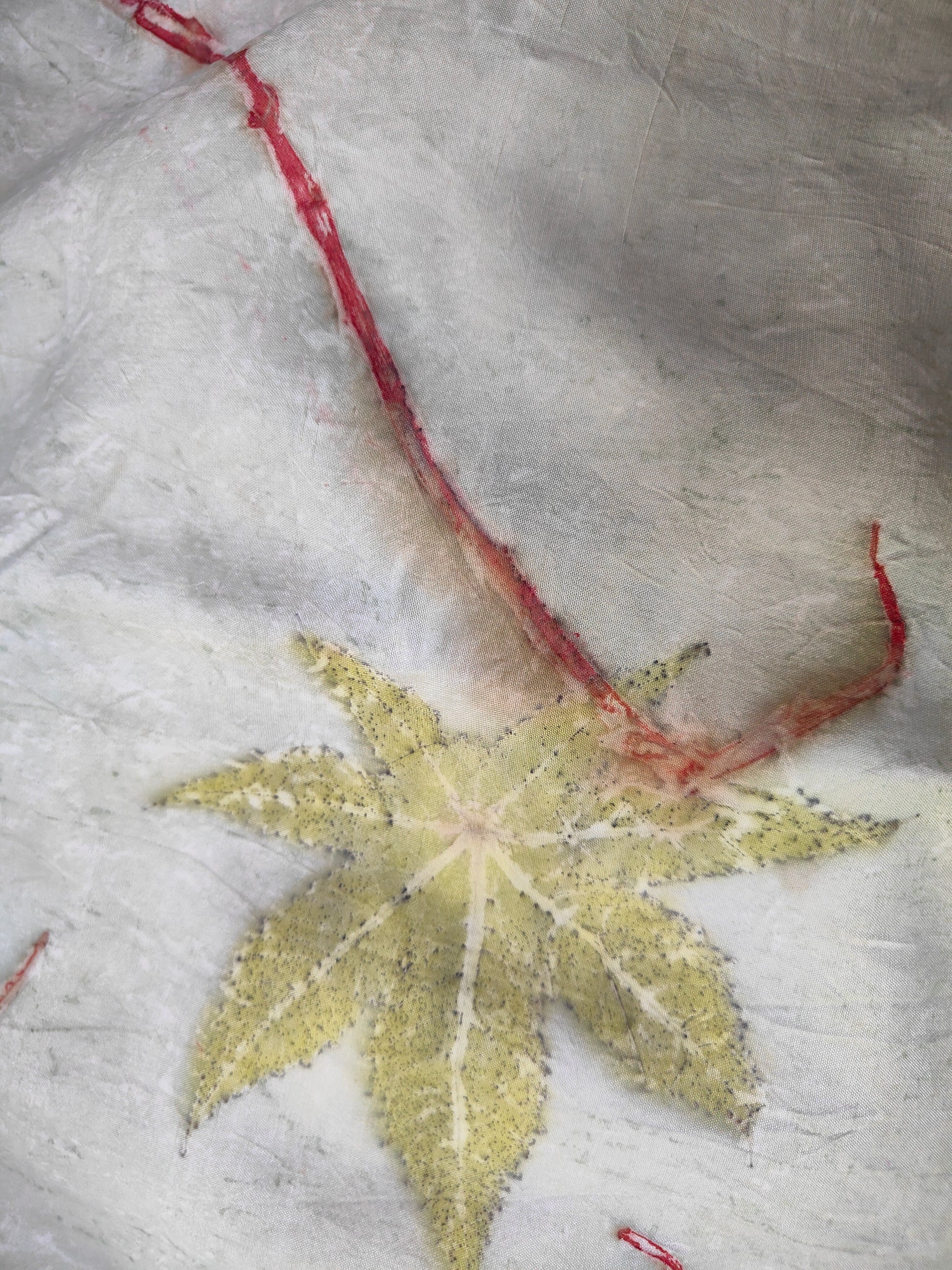 Castor Echeos Handspun Pure Silk Fabric