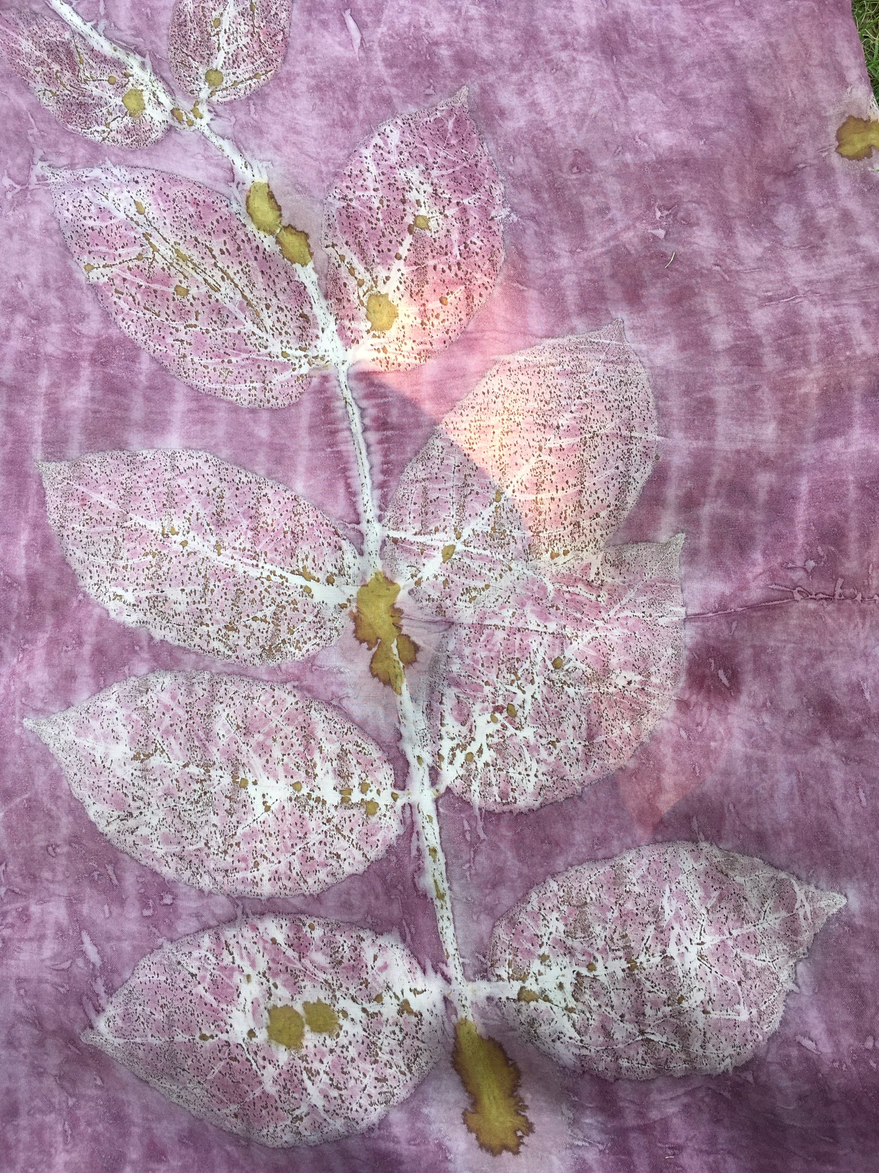 Blush Kaftan Flared Top image 4