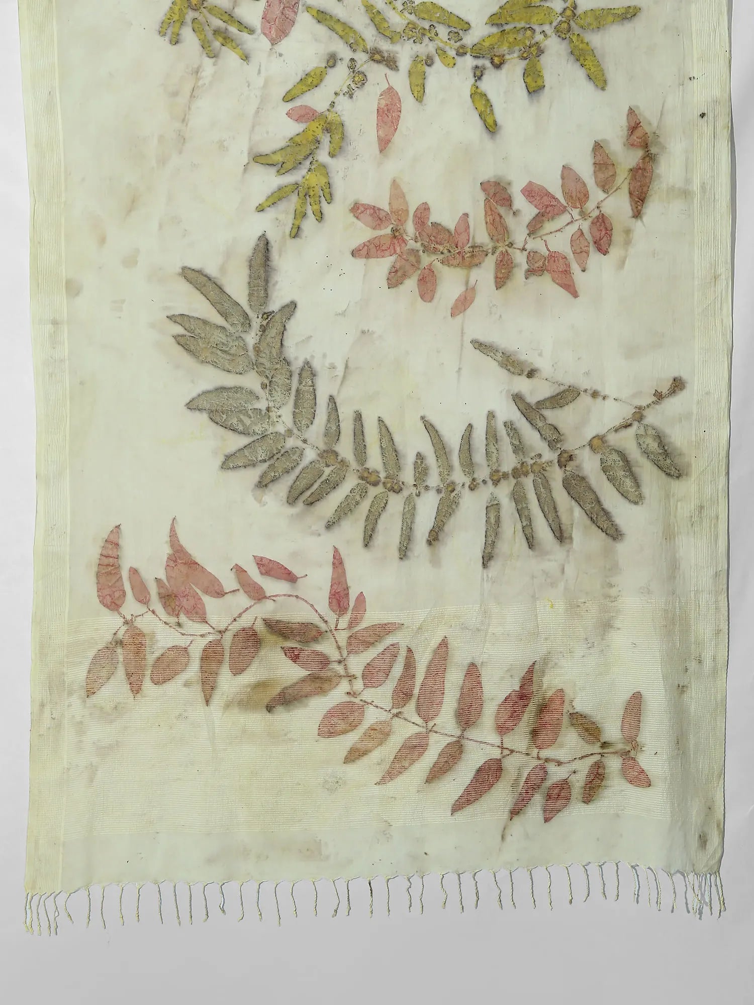 Eucalyptus Madder Ecoprinted  Cotton Saree Corner view by kokikar