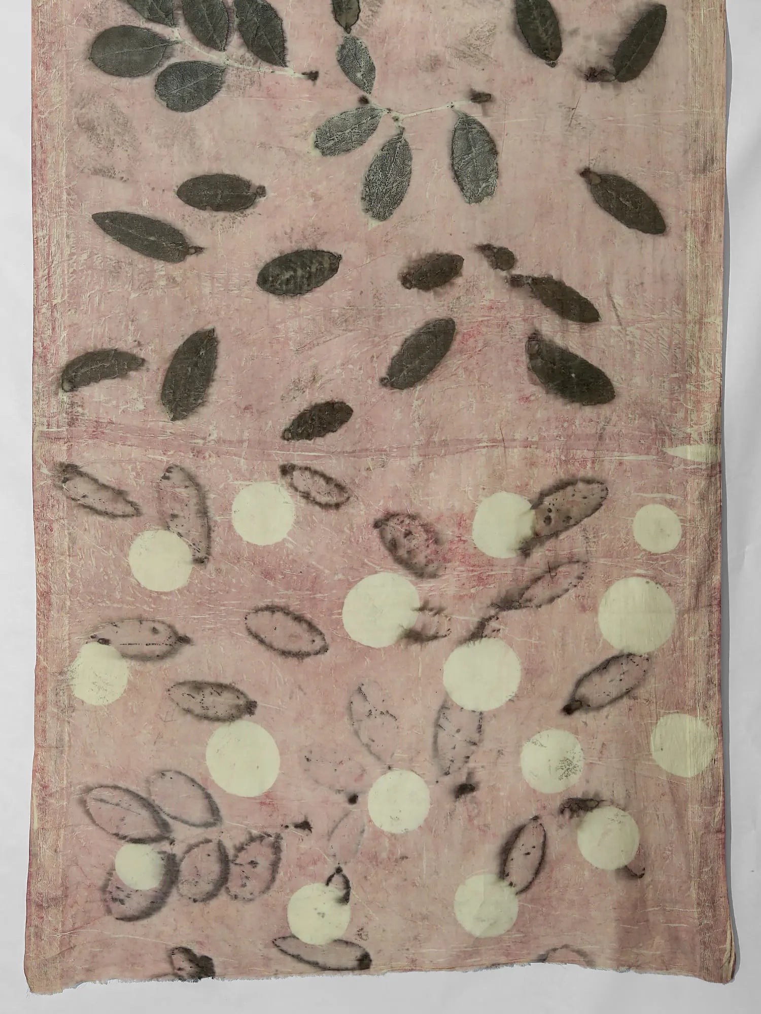 Eucalyptus Ecoprinted Mist Mulmul Cotton Saree on kokikar wall