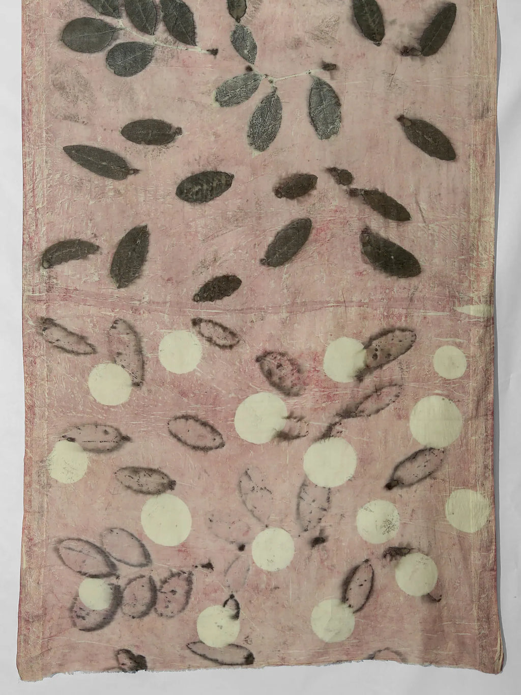 Eucalyptus Ecoprinted Mist Mulmul Cotton Saree on kokikar wall