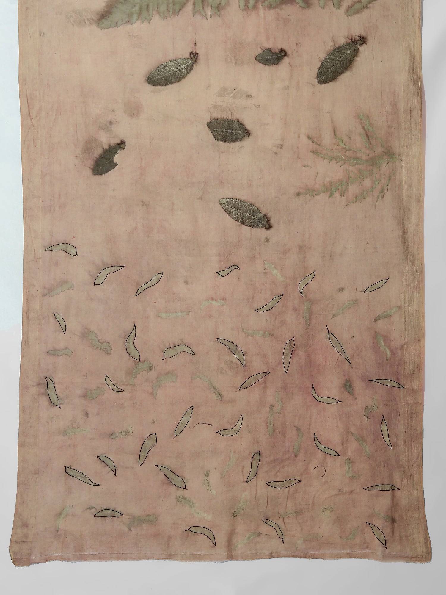 Blouse piece of saree ecoprinted with ferns