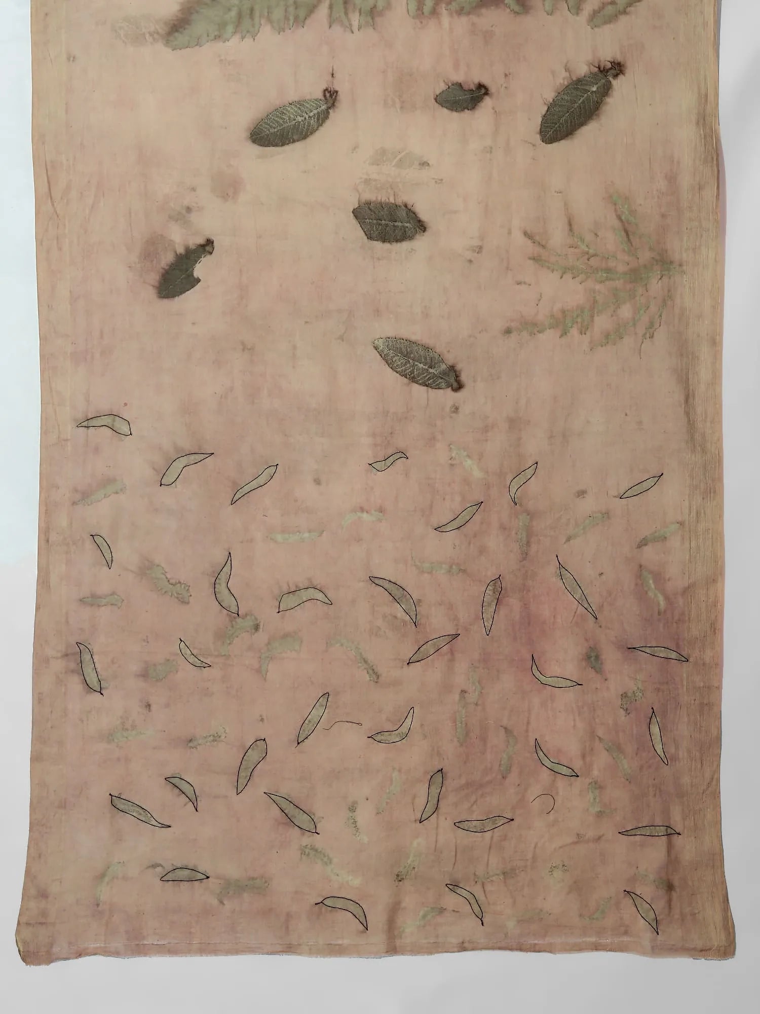 Corner of Fern Threaded Veil Ecoprinted Saree by kokikar 