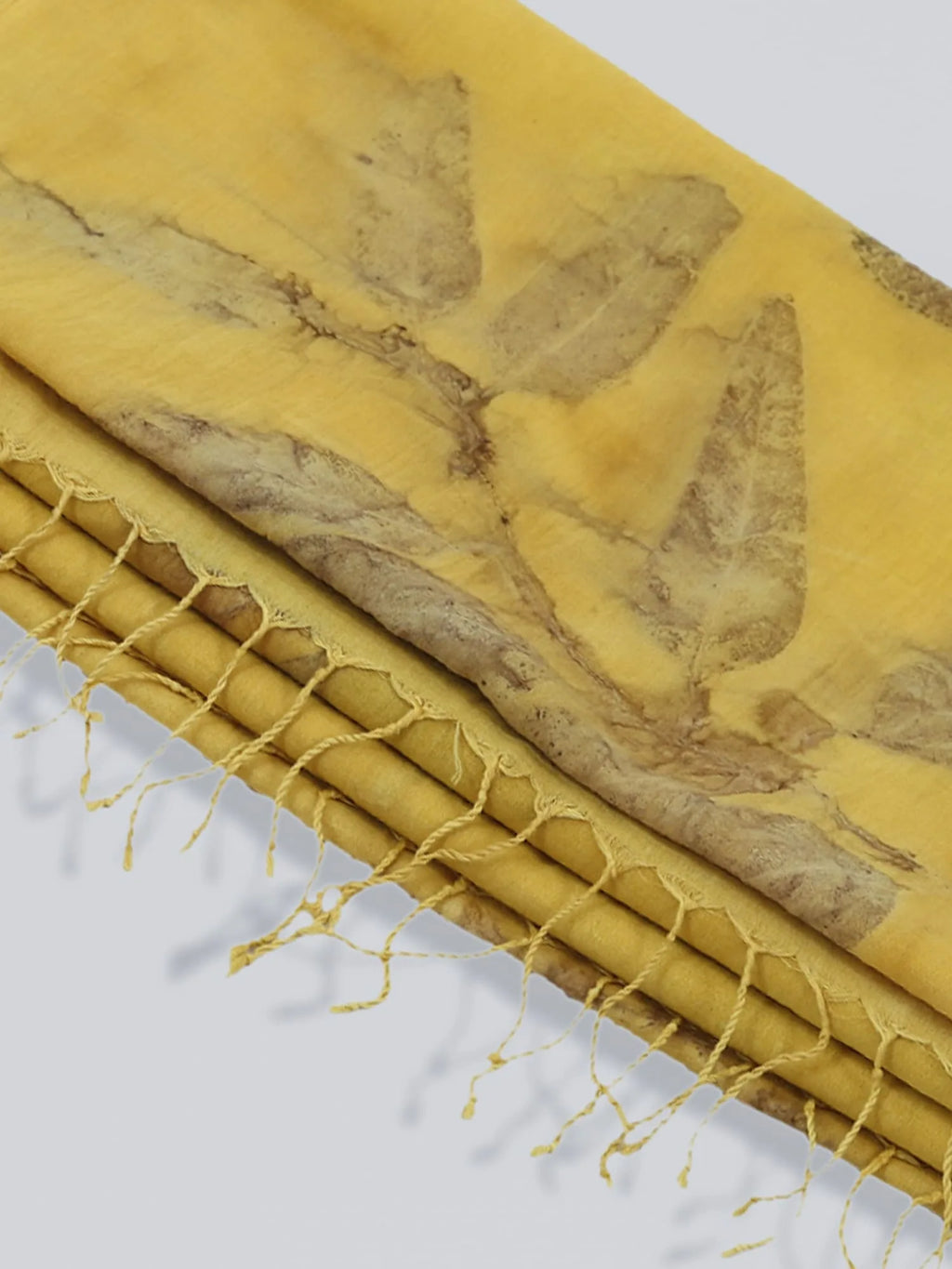 Ginkgo Grace Mulmul Cotton Saree on floor