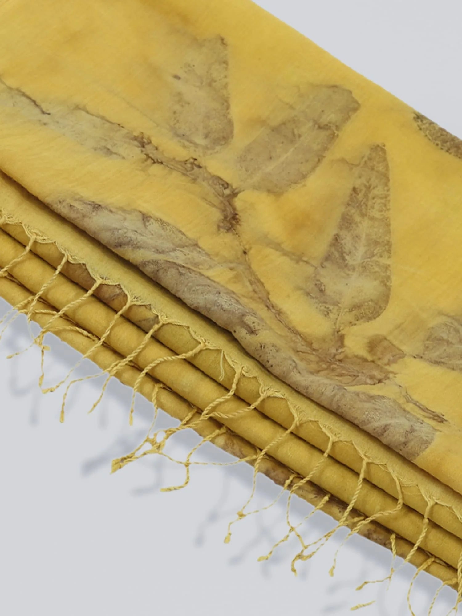 Ginkgo Grace Mulmul Cotton Saree on floor