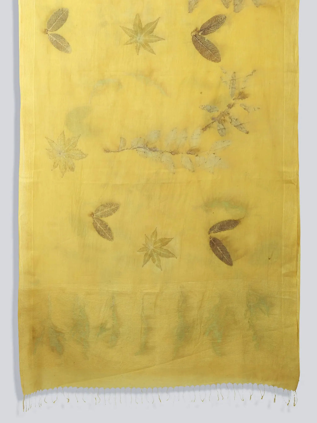 Ginkgo Grace Mulmul Cotton Saree against the wall