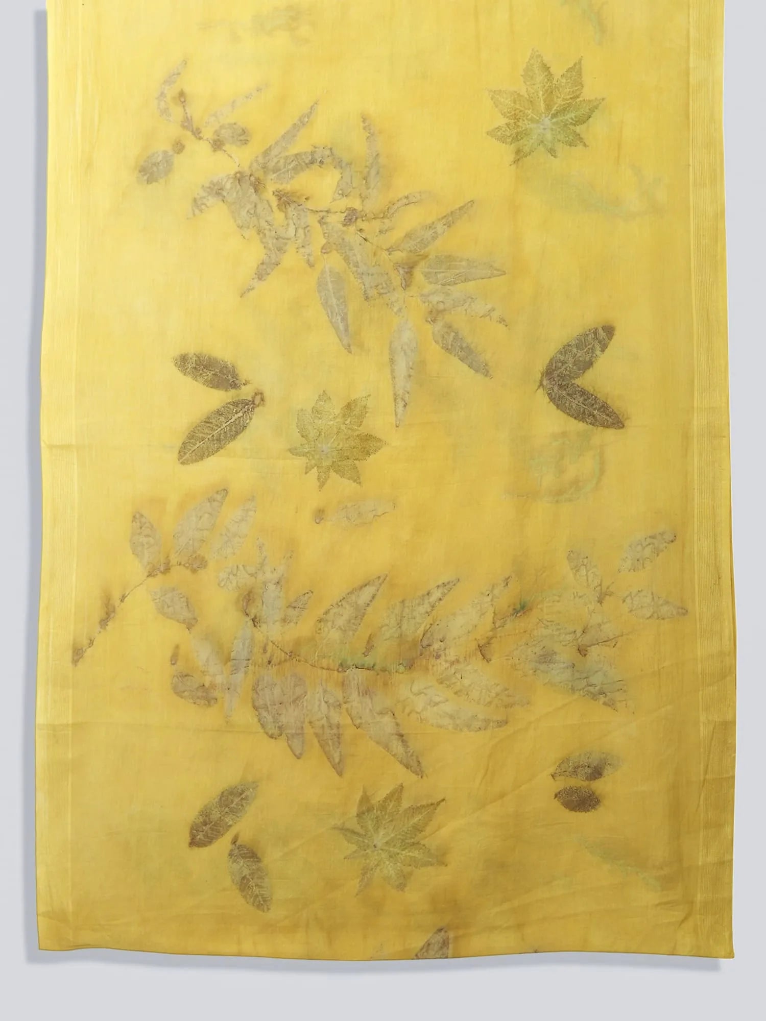 Plain view of Ginkgo Grace Mulmul Cotton Saree again kokikar wall