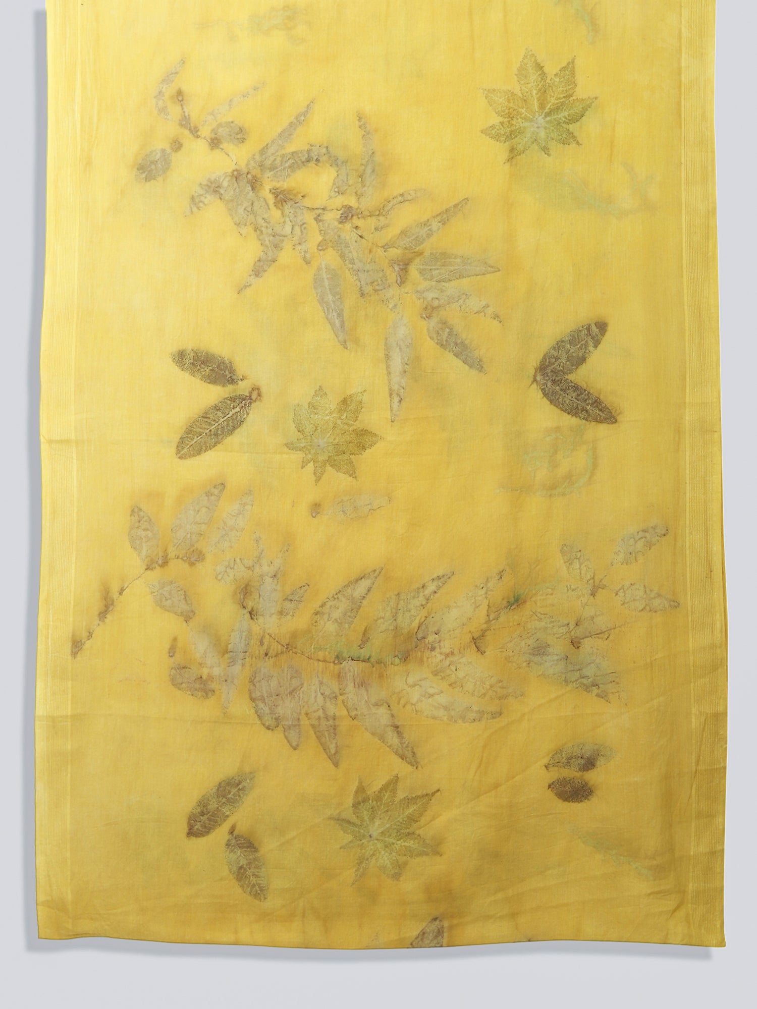 Ginkgo Grace Organic Mulmul Cotton Saree