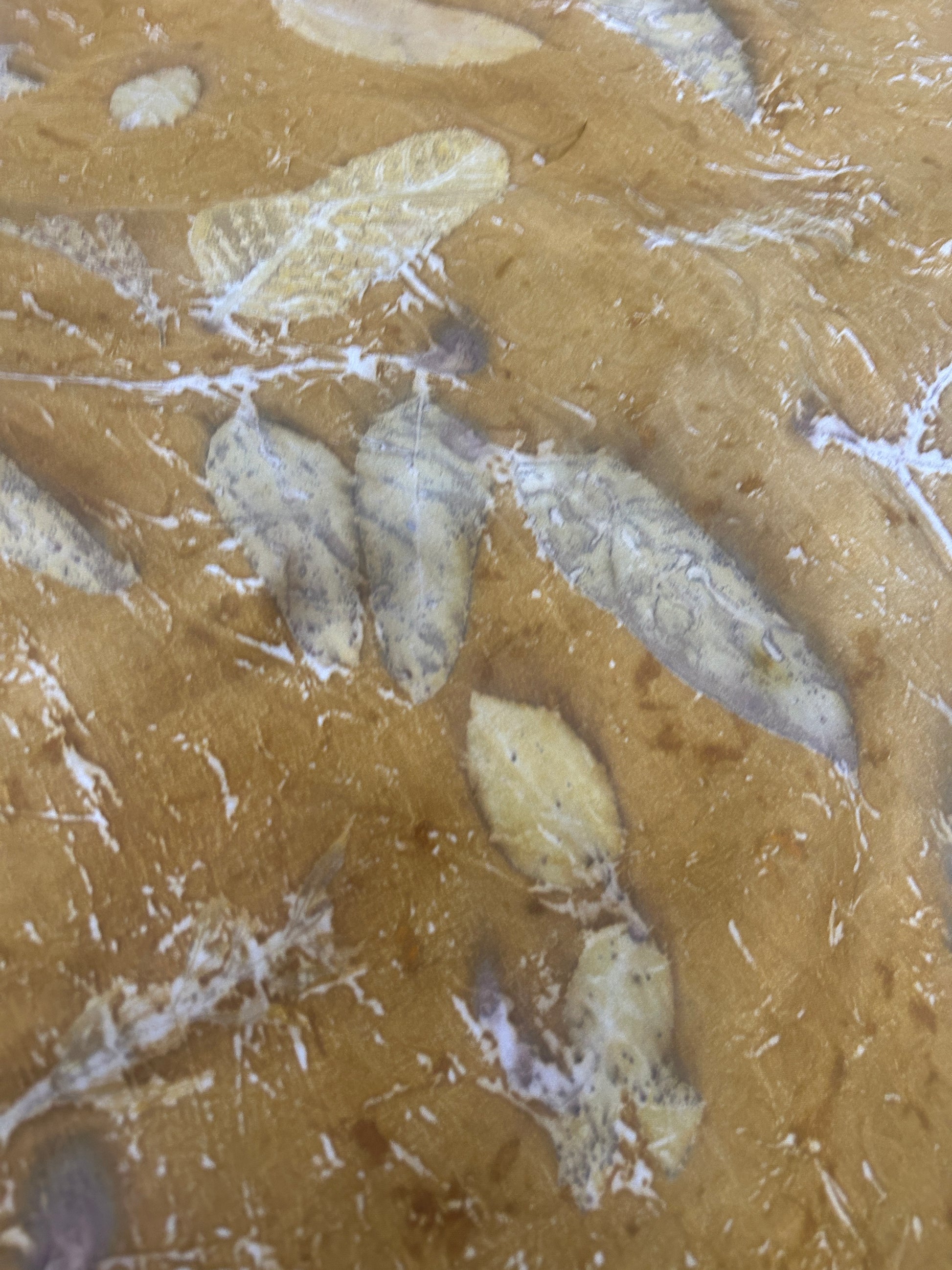 Golden Haze Pure Silk Fabric
