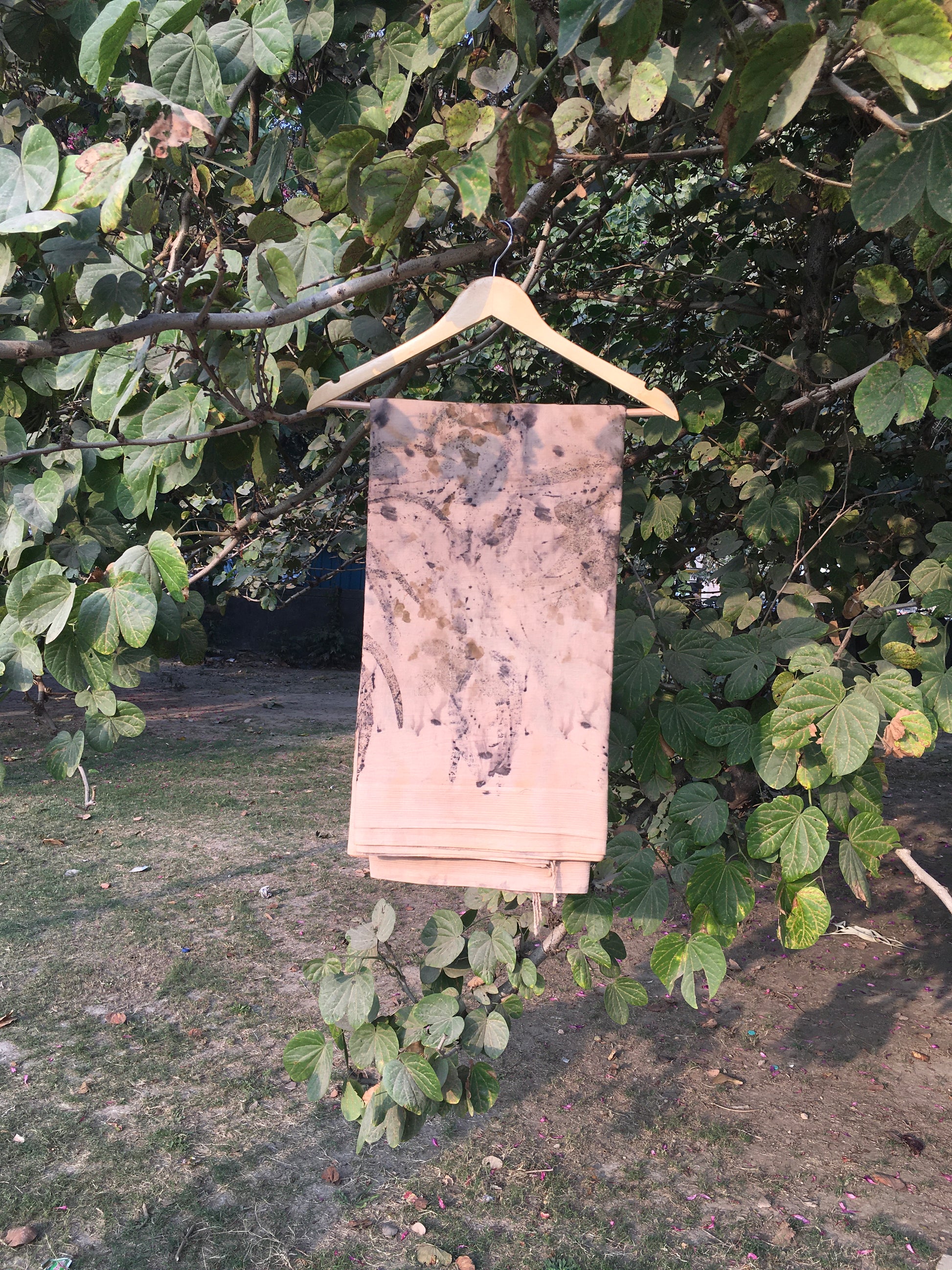 The Dirty Pot Ecoprinted Mulmul Cotton Saree