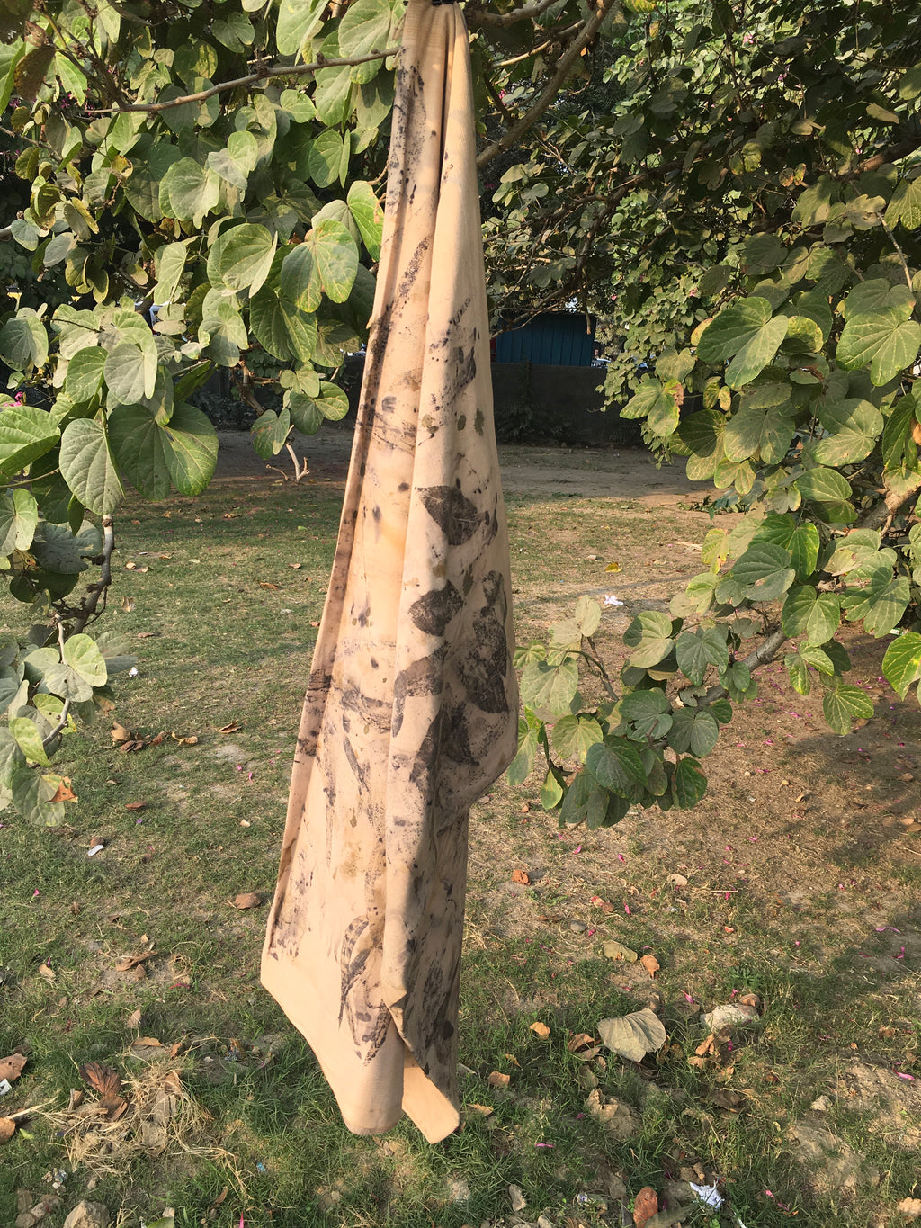 The Dirty Pot Ecoprinted Mulmul Cotton Saree