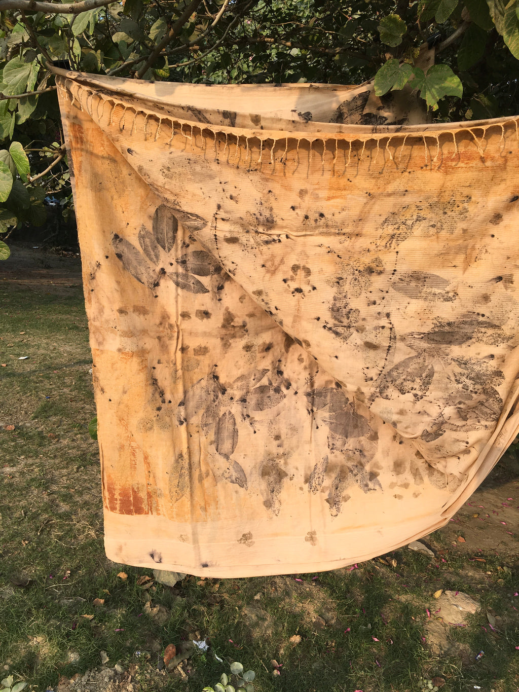 The Dirty Pot Ecoprinted Mulmul Cotton Saree