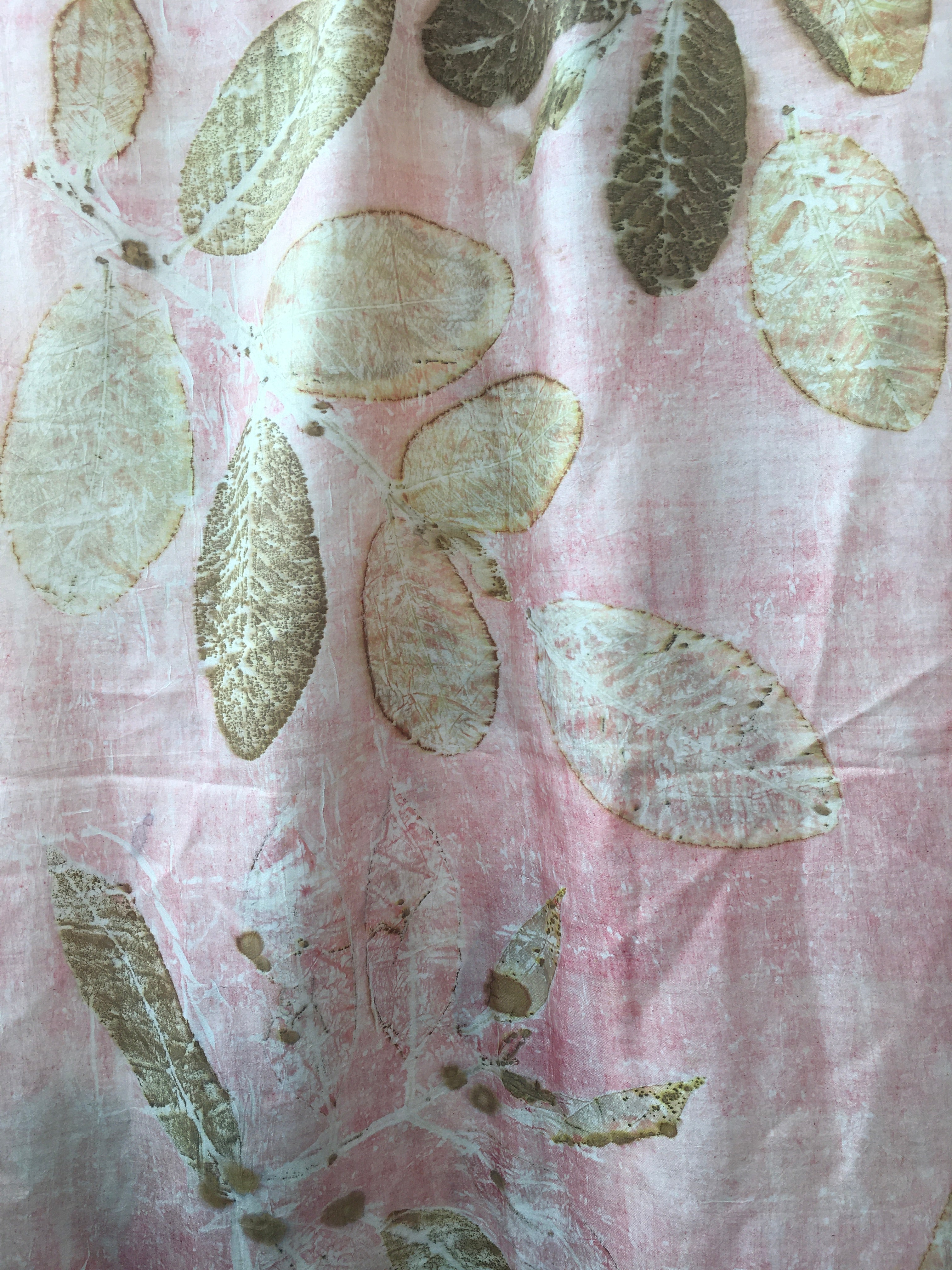 Sappanwood dyed pure silk scarf with jamun & guava leaves