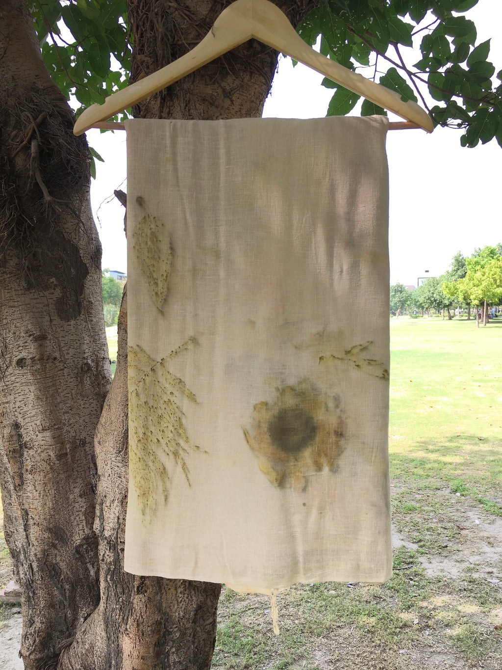Sunflower Ahimsa silk saree