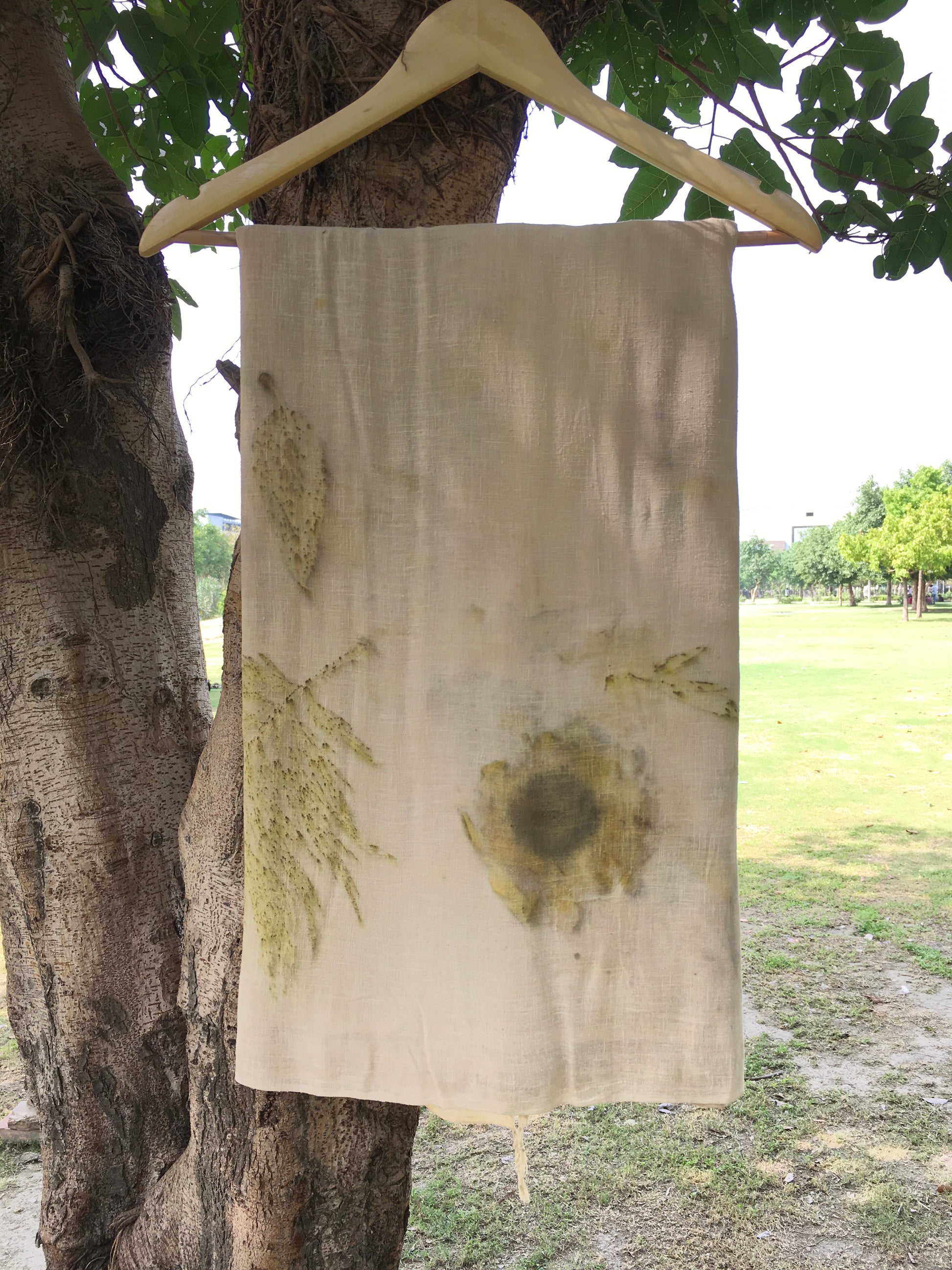 Sunflower Ahimsa silk saree