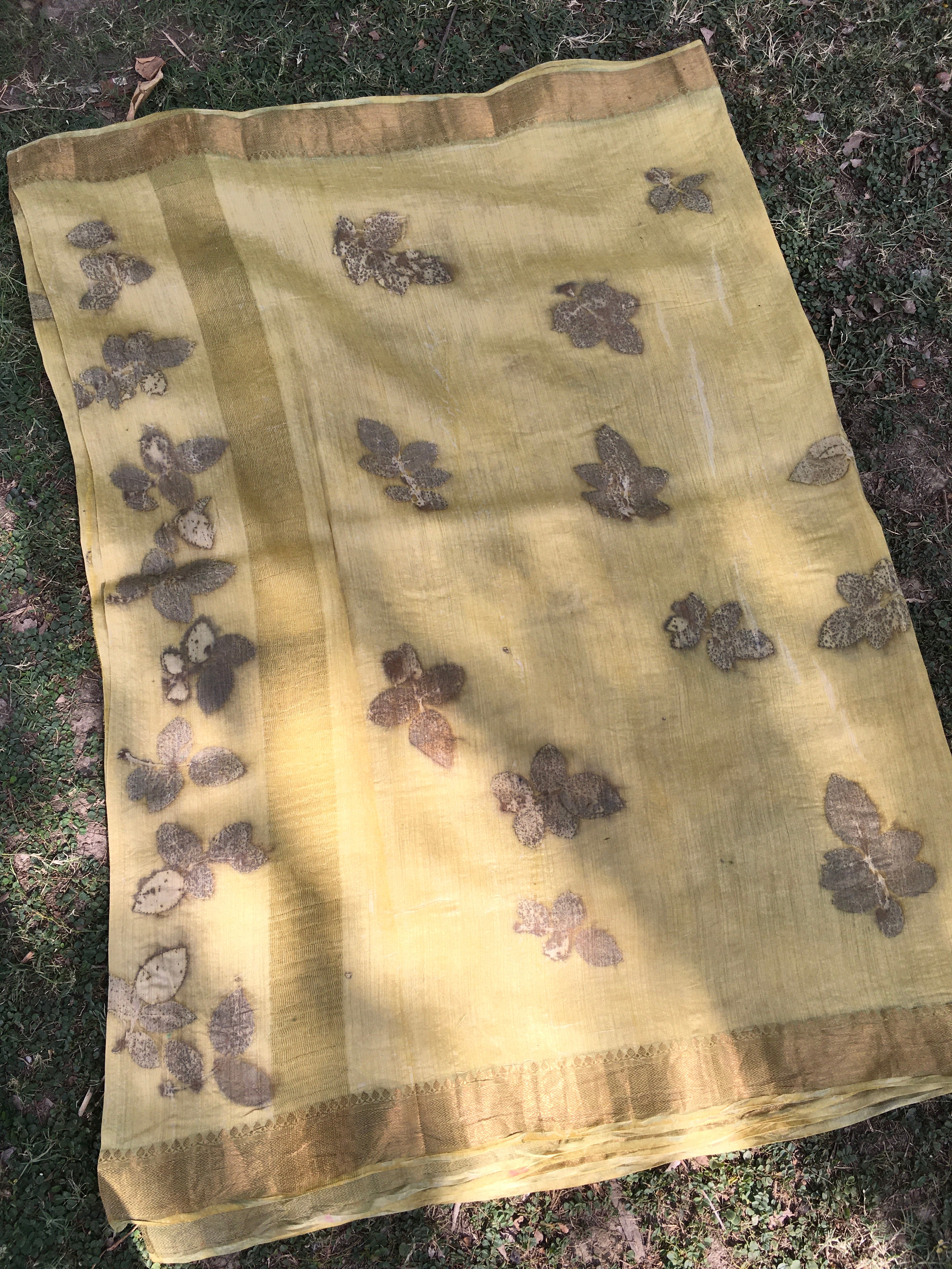 Sunbloom Marigold Muga Silk Saree