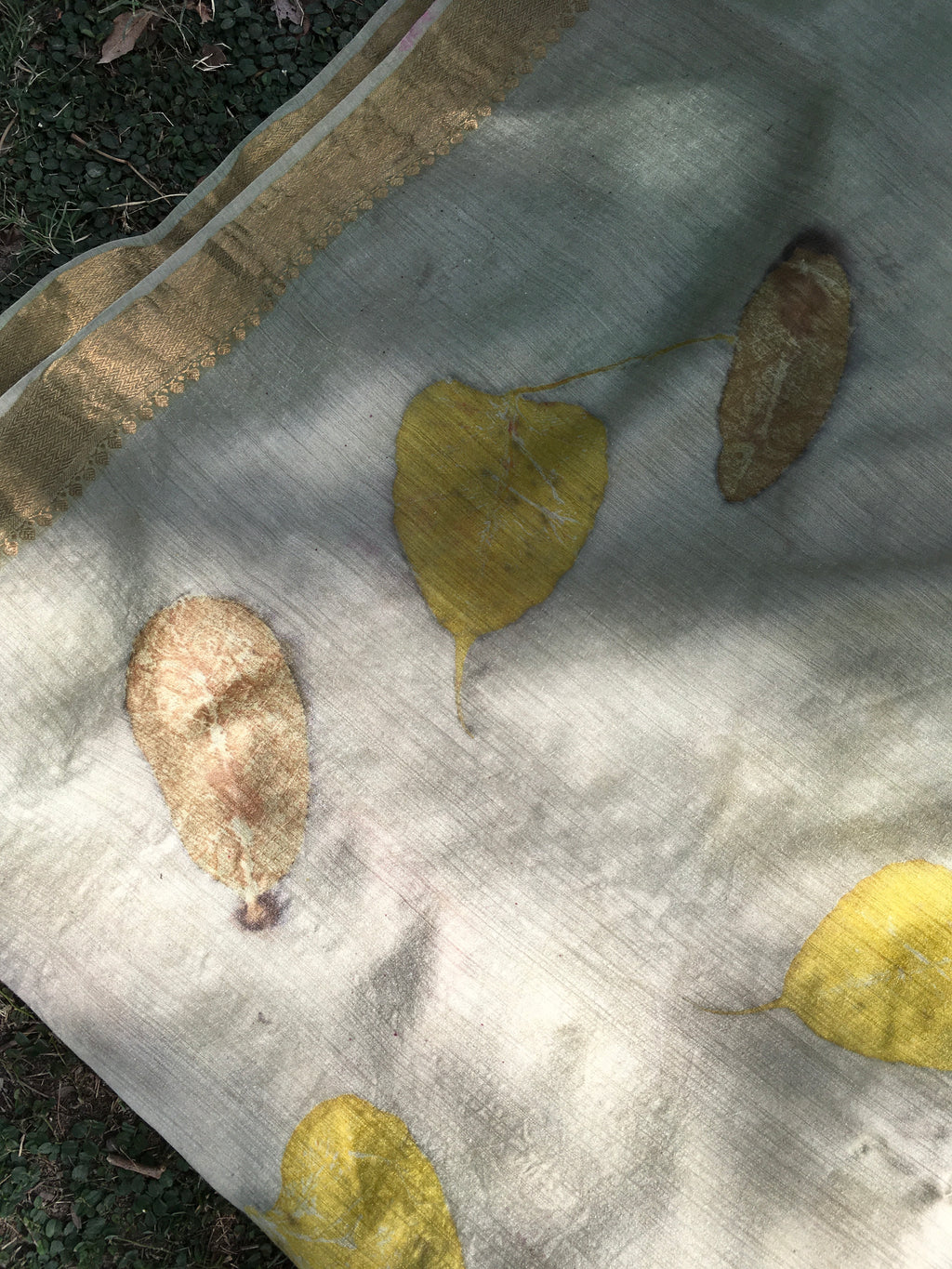 Leaves on a textured Ecoprinted Matka Silk Saree  with a golden  border