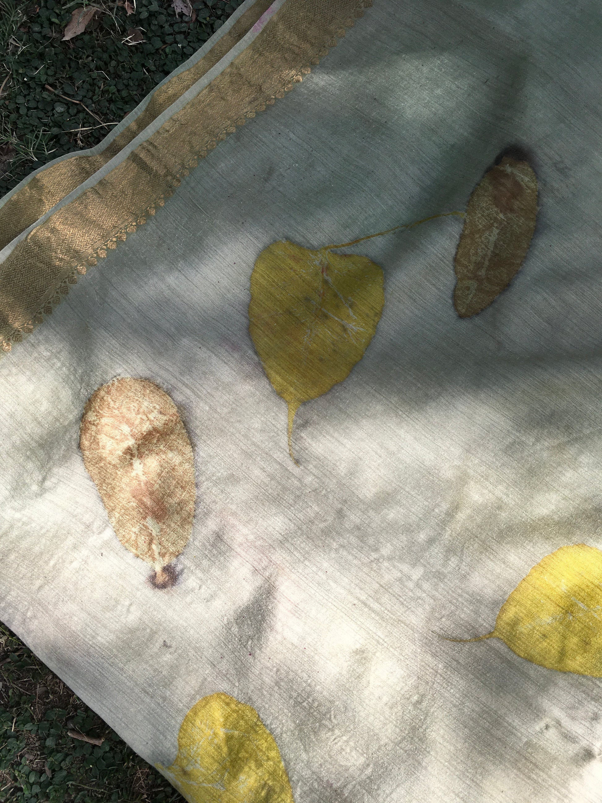 Leaves on a textured Ecoprinted Matka Silk Saree  with a golden  border