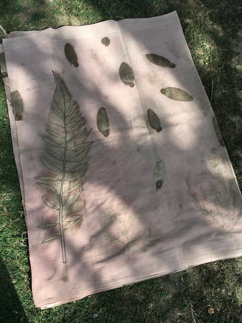 ecoprinted cotton saree with pressed leaves on a grassy background