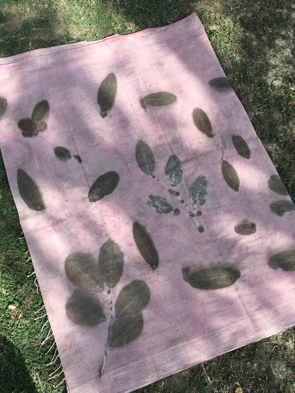 Pink mulmul cotton ecoprinted saree with green leaf patterns on a grassy background