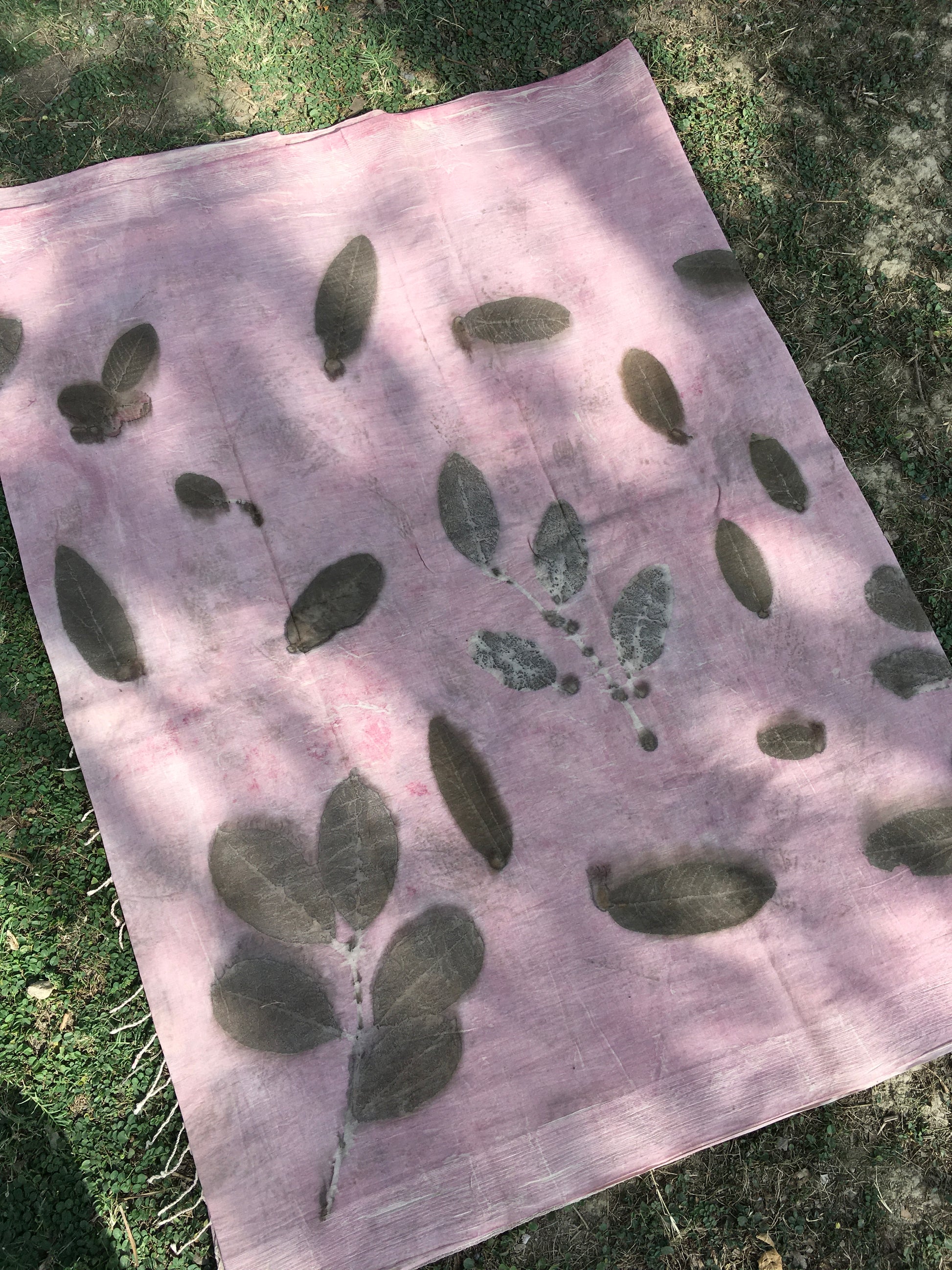 Pink mulmul cotton ecoprinted saree with green leaf patterns on a grassy background