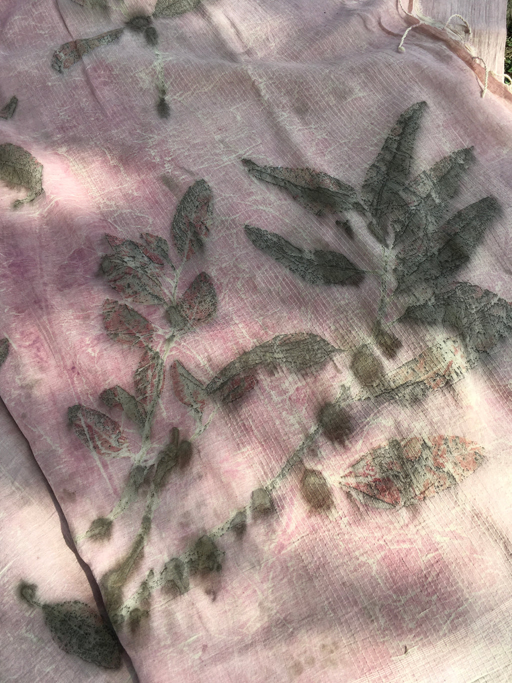 mulmul cotton ecoprinted saree with green leaf patterns on a pink background