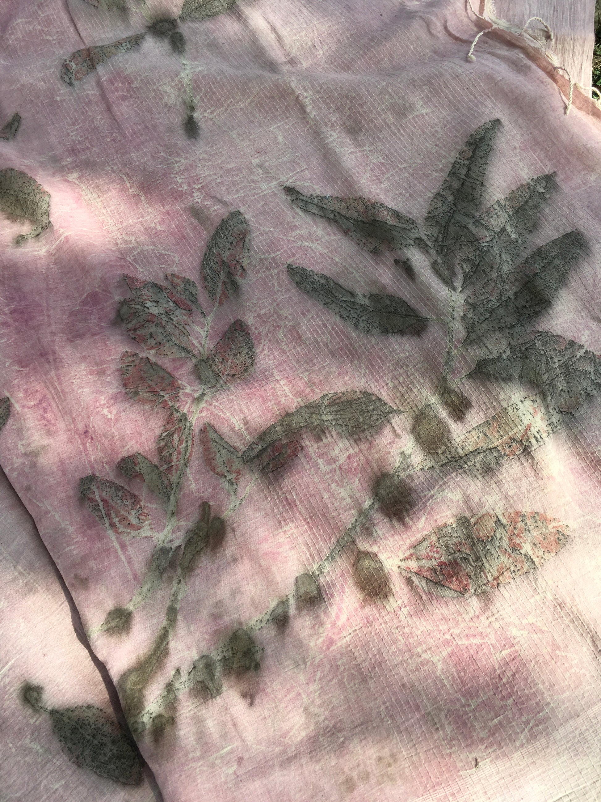 mulmul cotton ecoprinted saree with green leaf patterns on a pink background