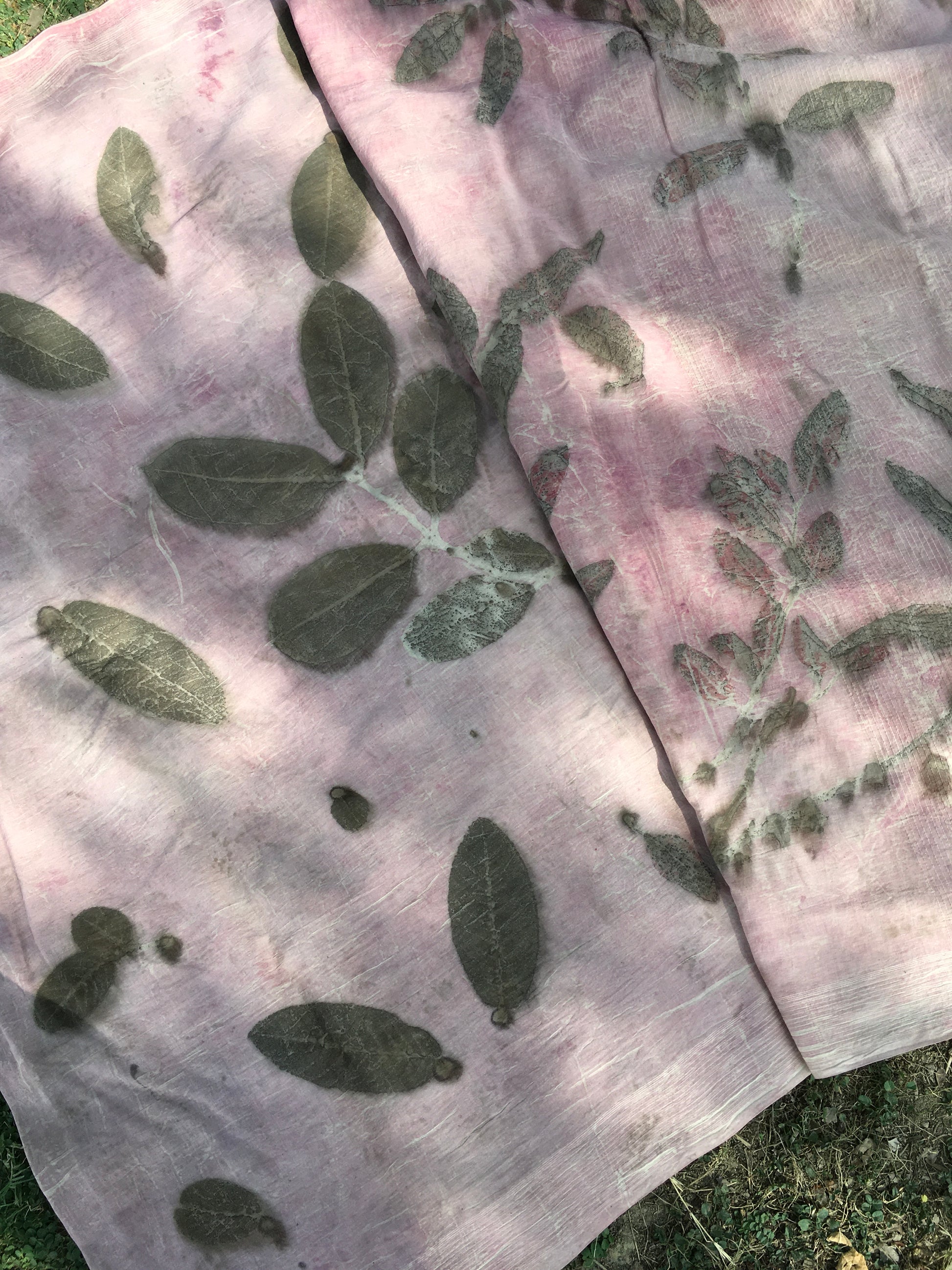 mulmul cotton ecoprinted saree with leaf patterns on a fabric surface