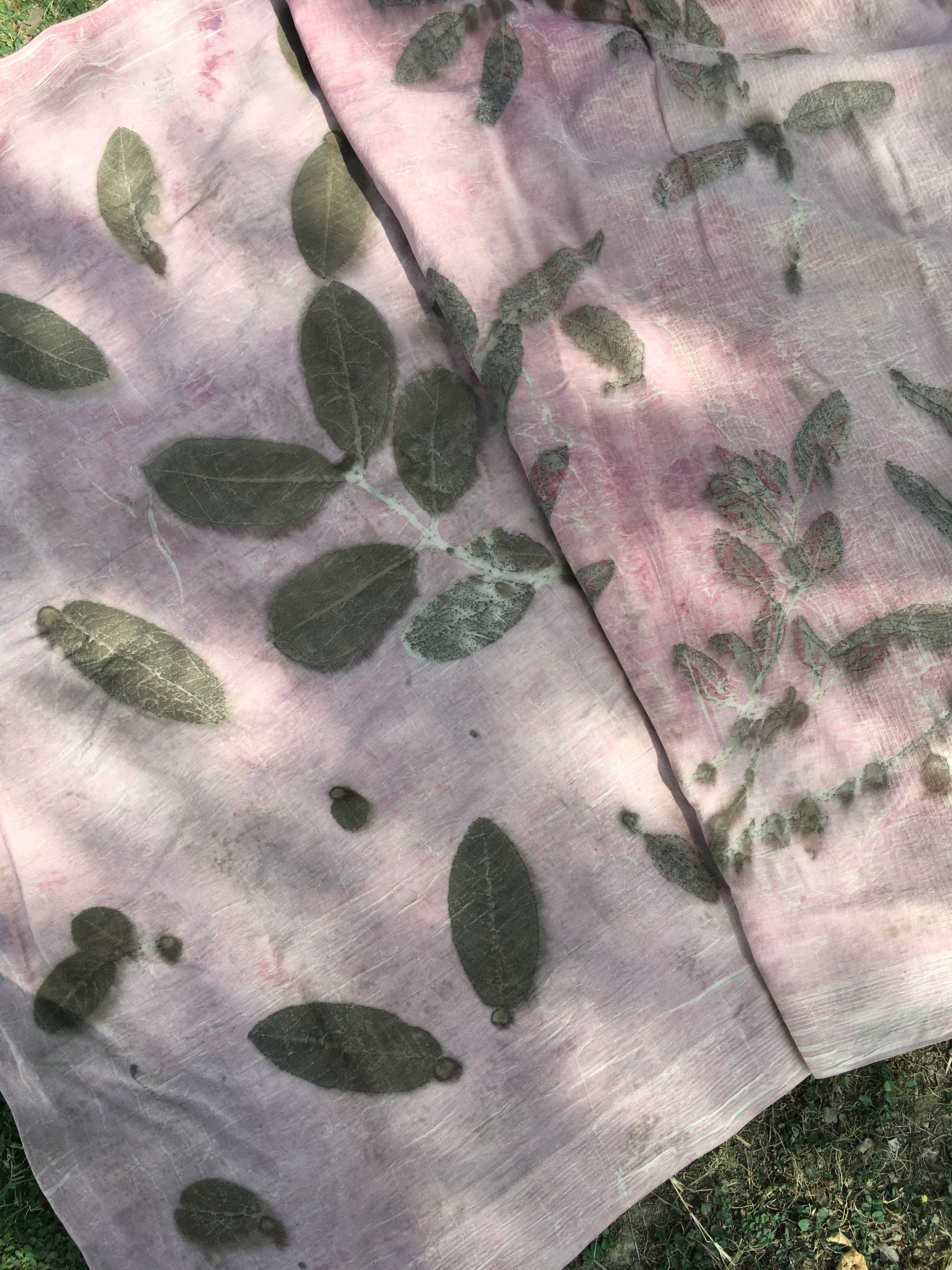 mulmul cotton ecoprinted saree with leaf patterns on a fabric surface