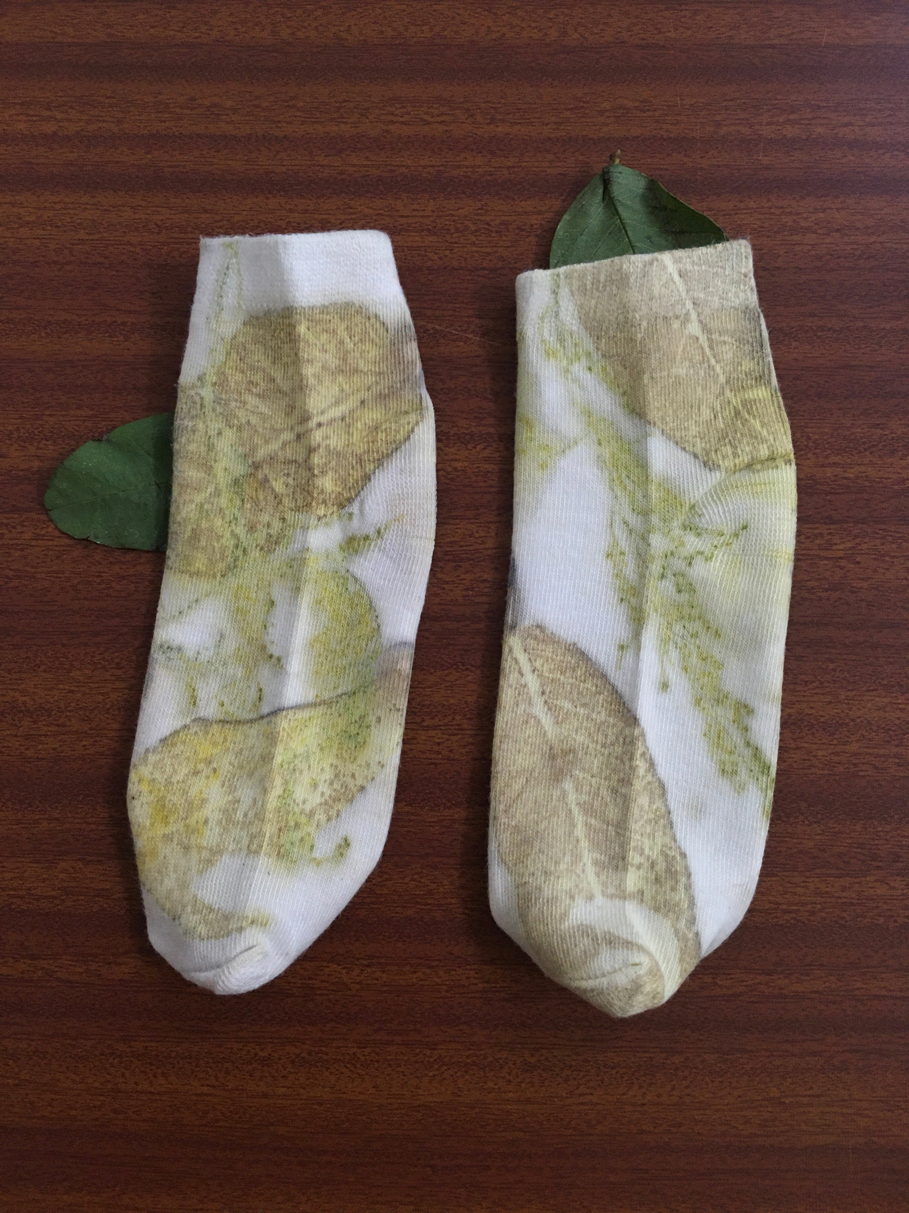 Olive Fern Socks