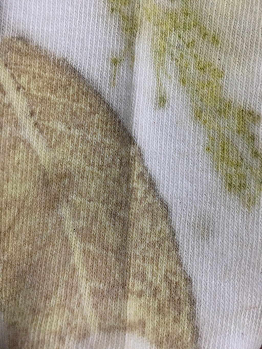 Olive Fern Socks