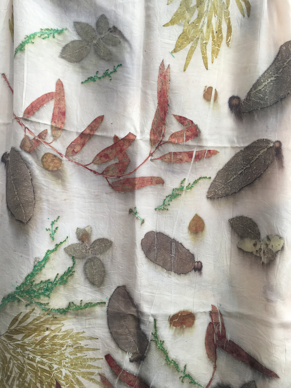 Olive ferns ecoprinted scarf
