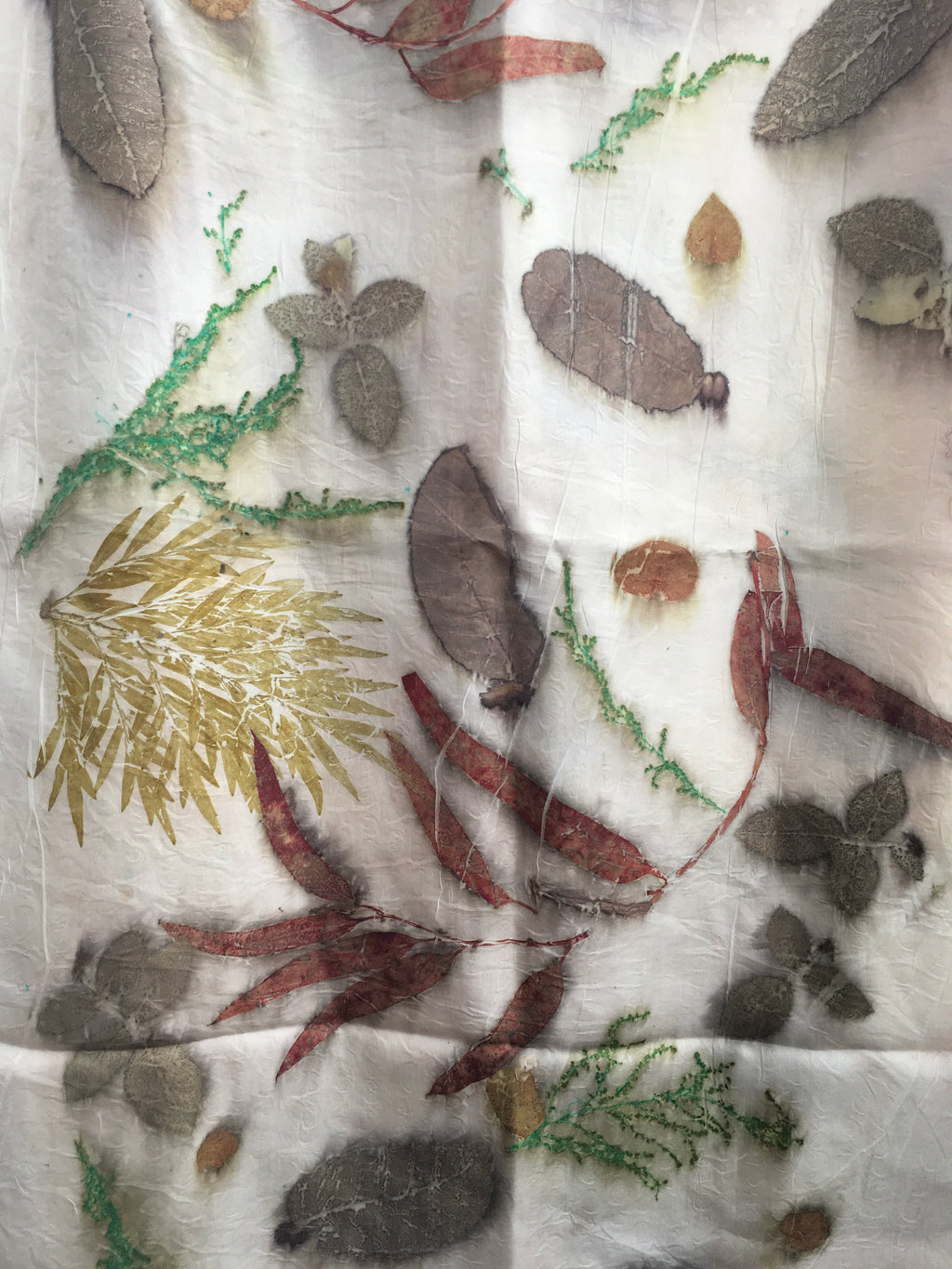 Olive ferns ecoprinted scarf