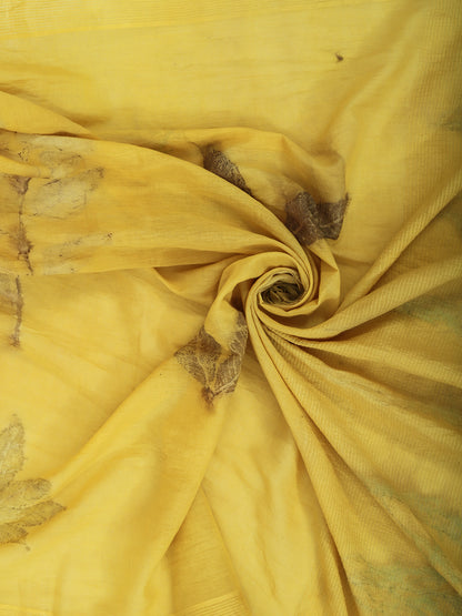 Sunkissed Meadow Organic Cotton Saree