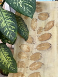 Marigold Pure silk scarf with Blackberry Leaves