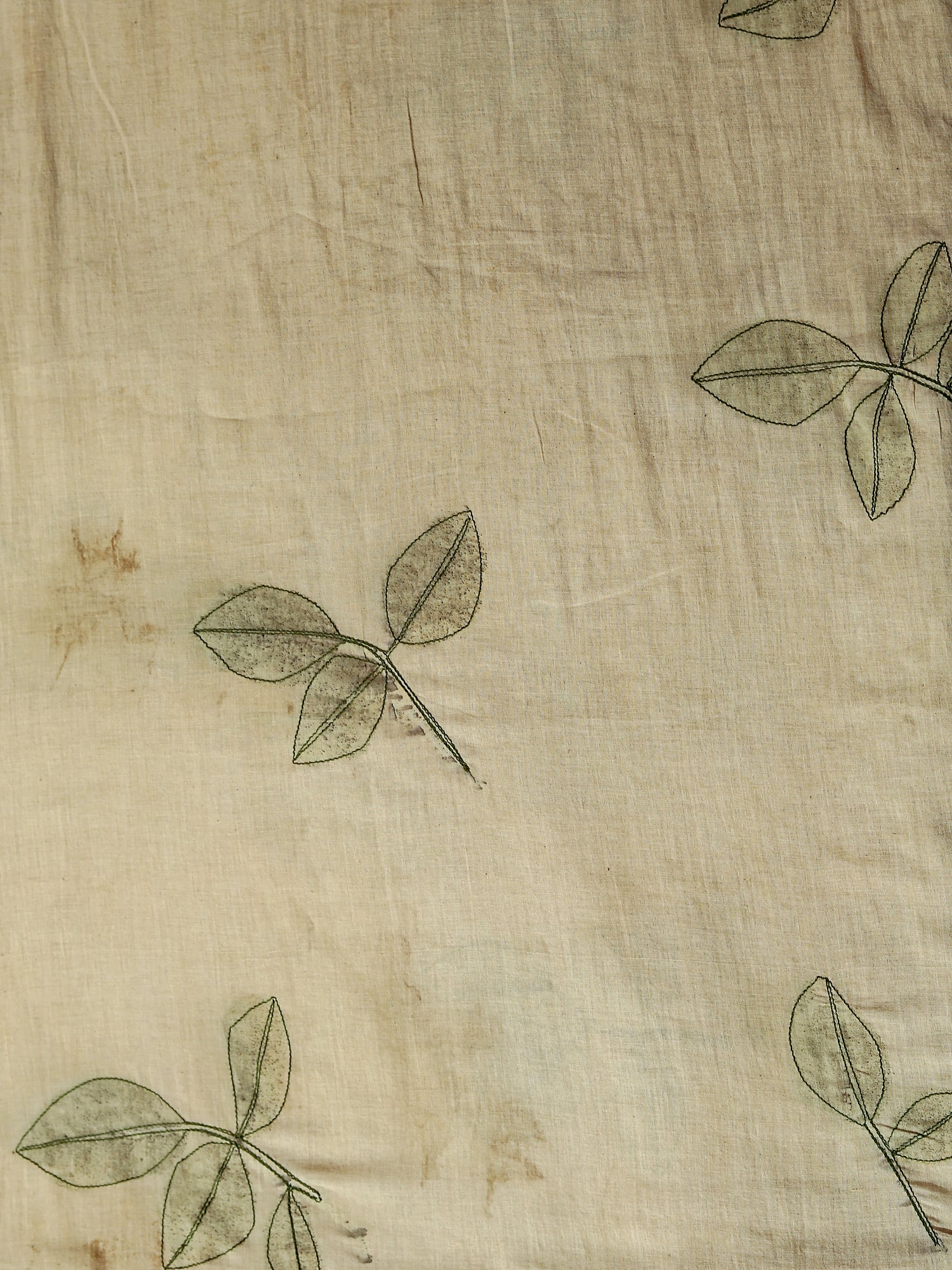 Embroided leaves in saree