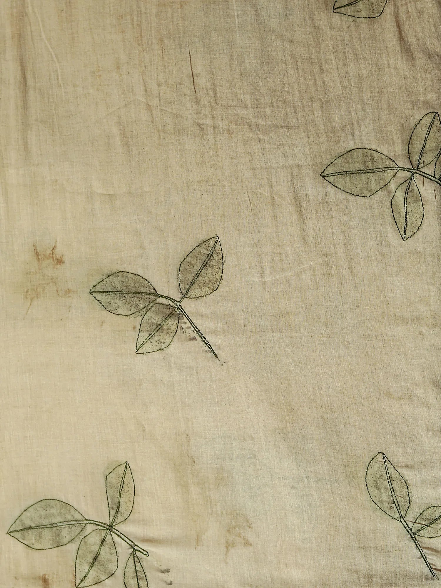 plain upper close up of Jamun Whisper Ecoprinted Cotton Saree
