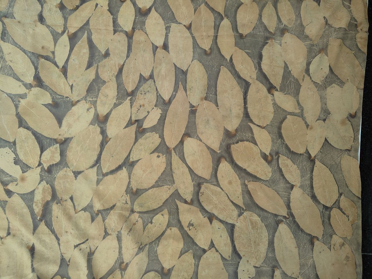 Mandala Ecoprinted Crepe Silk Saree