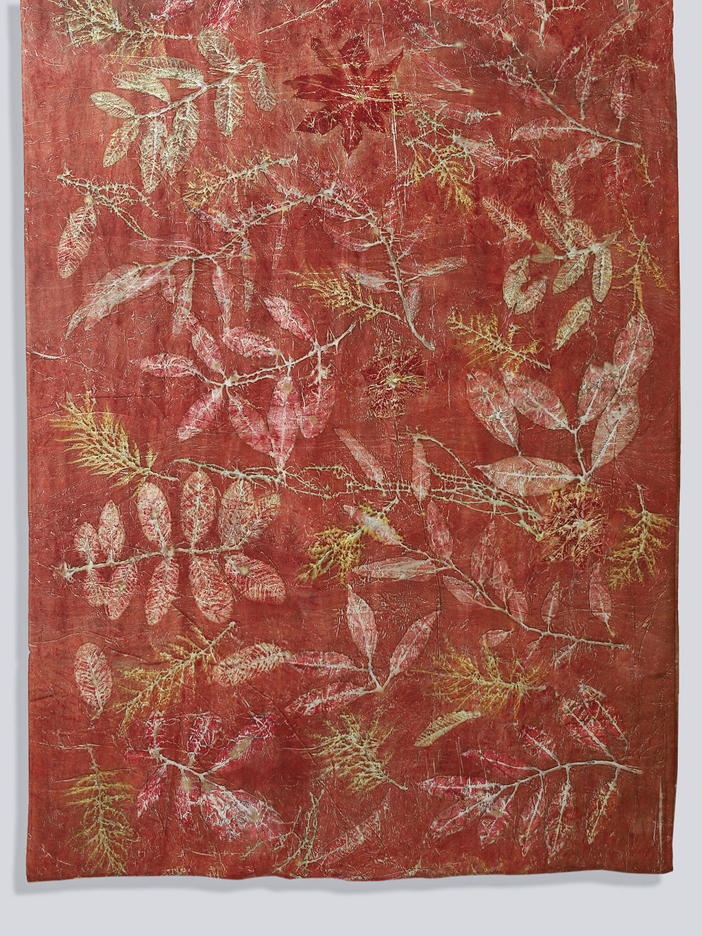 Saree ecoprinted with seasonal leaves and shrubs