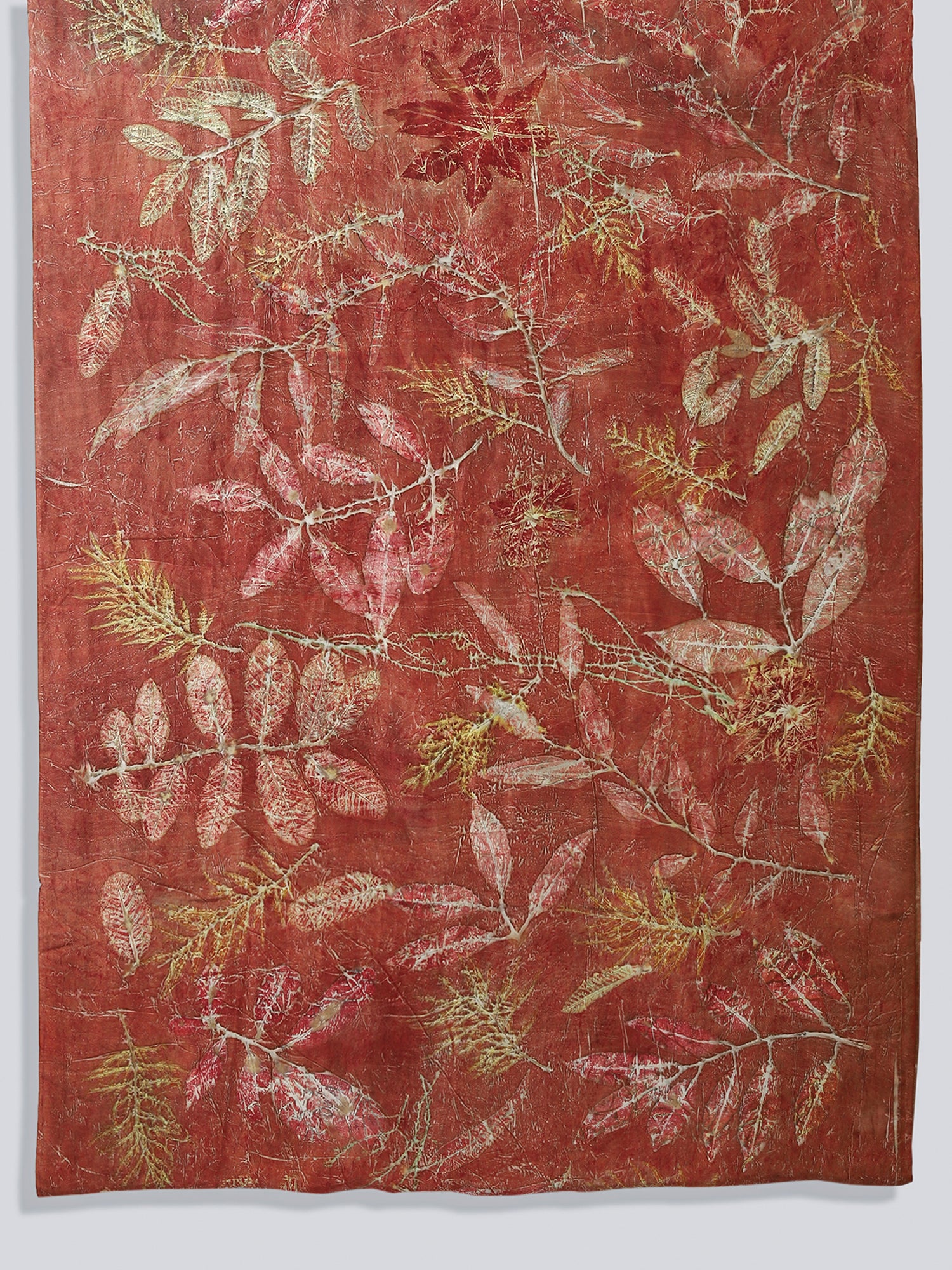 Saree ecoprinted with seasonal leaves and shrubs