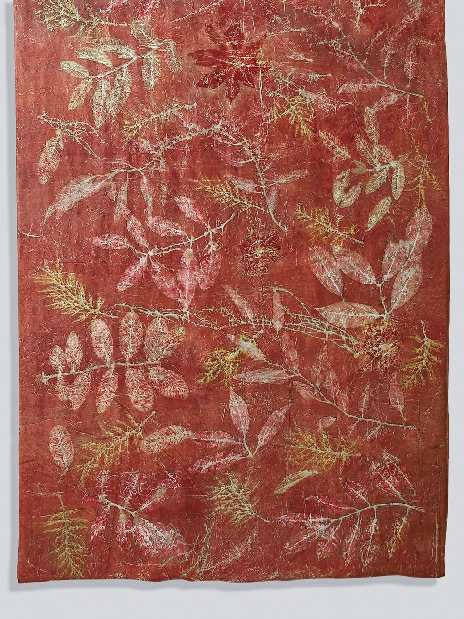 Corner of Maroon Ecoprinted Silk Saree by kokikar