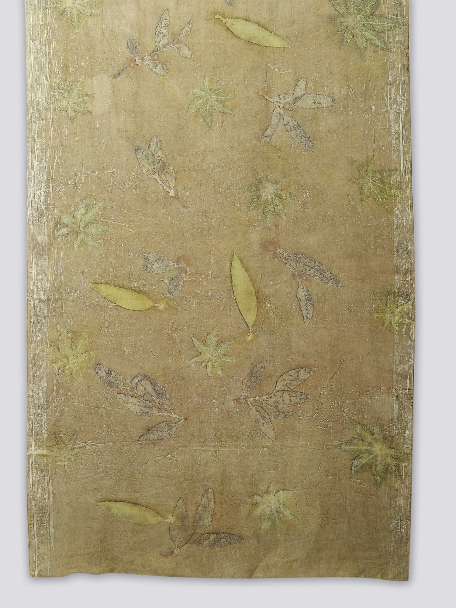 Saree ecoprinted with castor & Jamun leaves