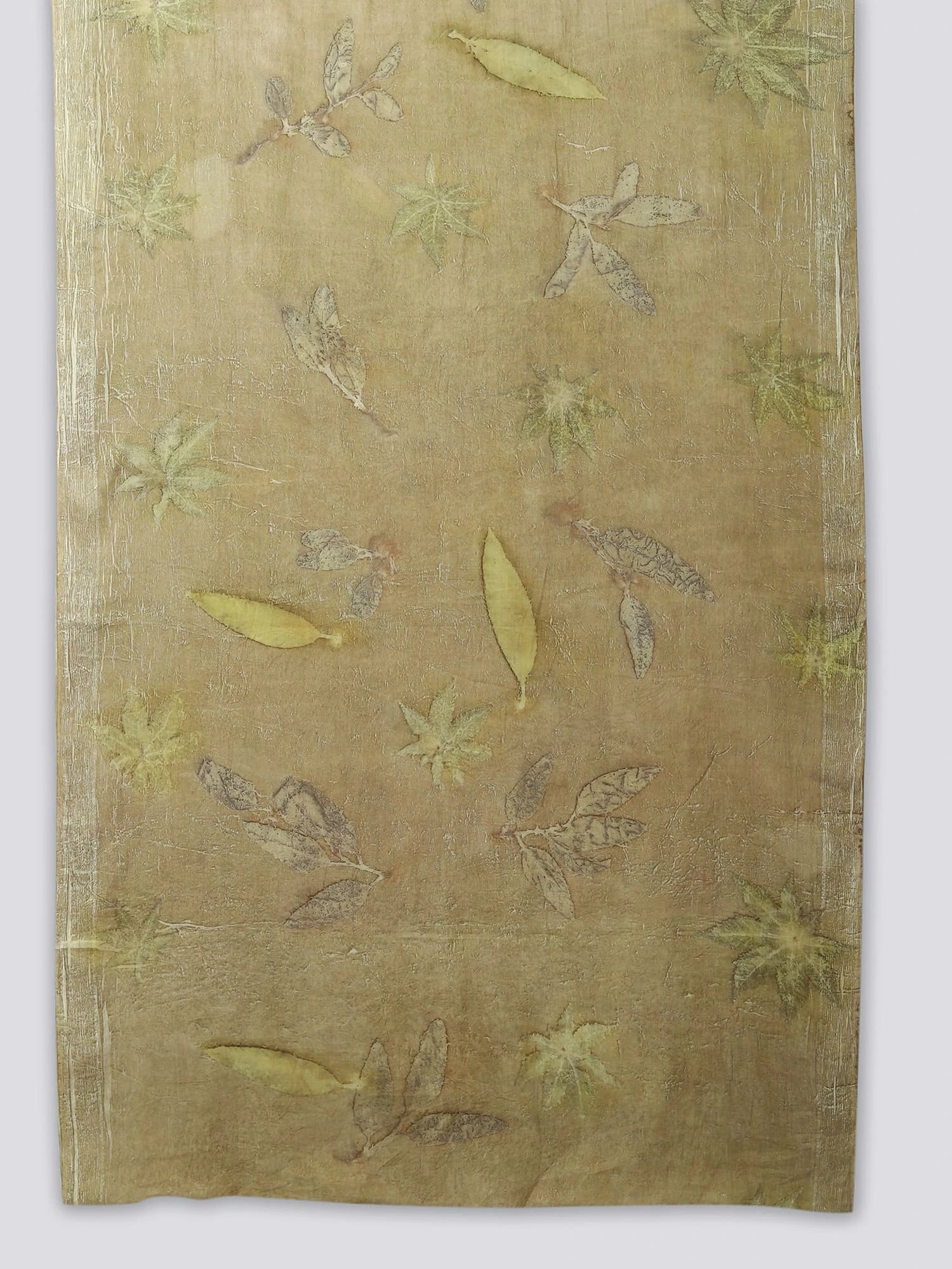 corner of Naturally Dyed Mulmul Ecoprinted Saree by kokikar 
